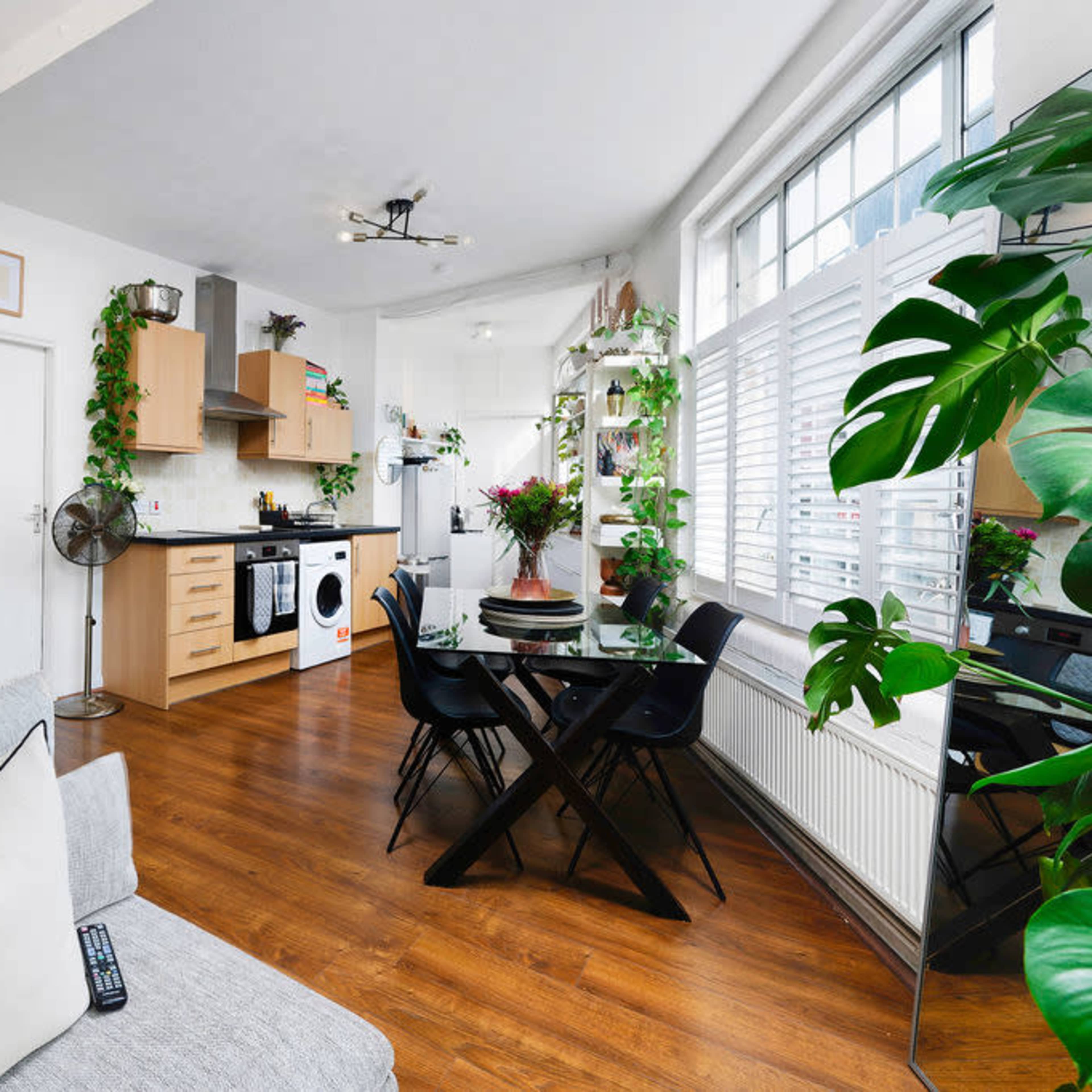 Plant filled warehouse studio conversion Image in Islington, London, England