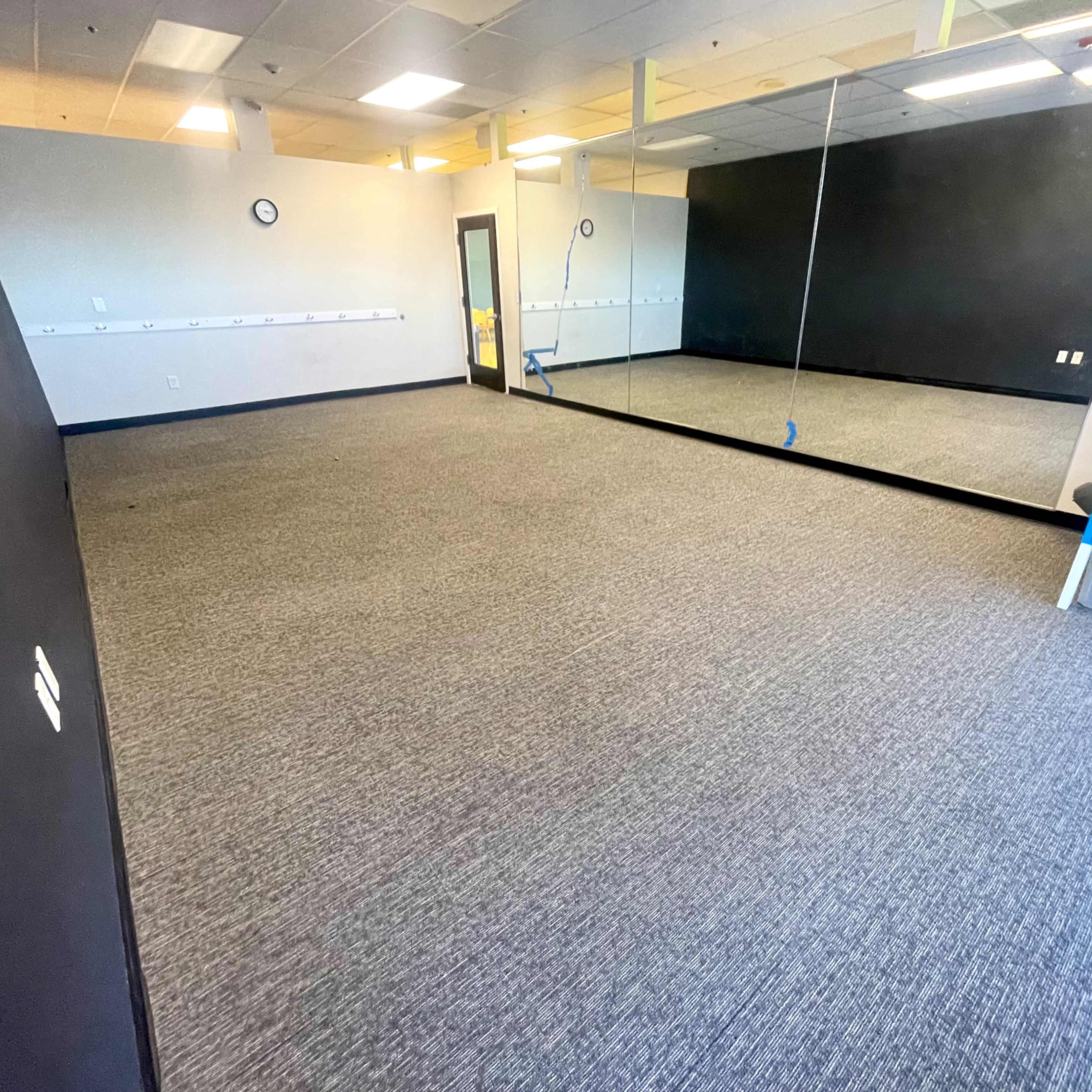 A sparsely furnished room with gray carpeting, a large mirror on one wall, and minimal decorations.