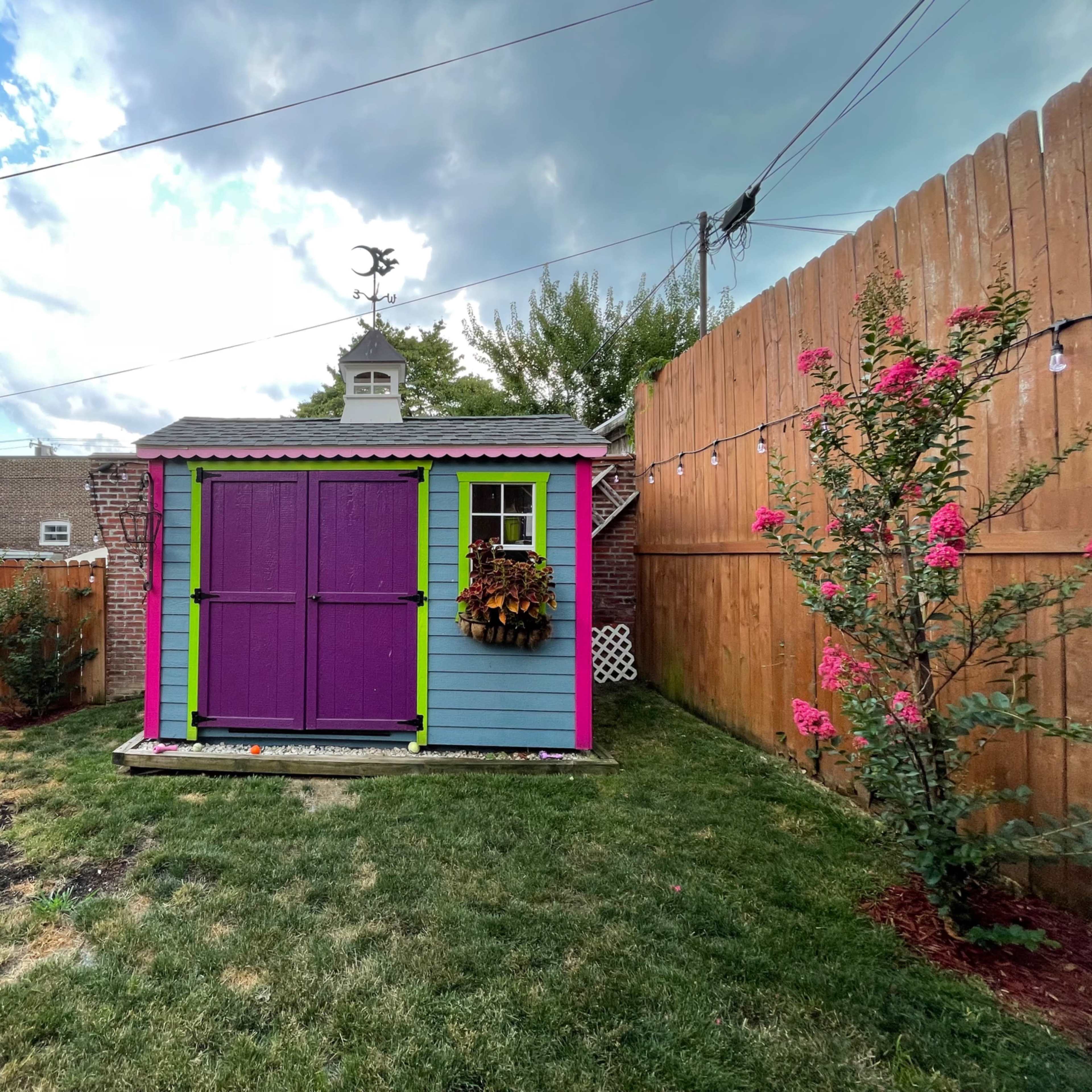 A colorful shed with purple doors and bright trim is set in a backyard surrounded by grass and flowering plants.