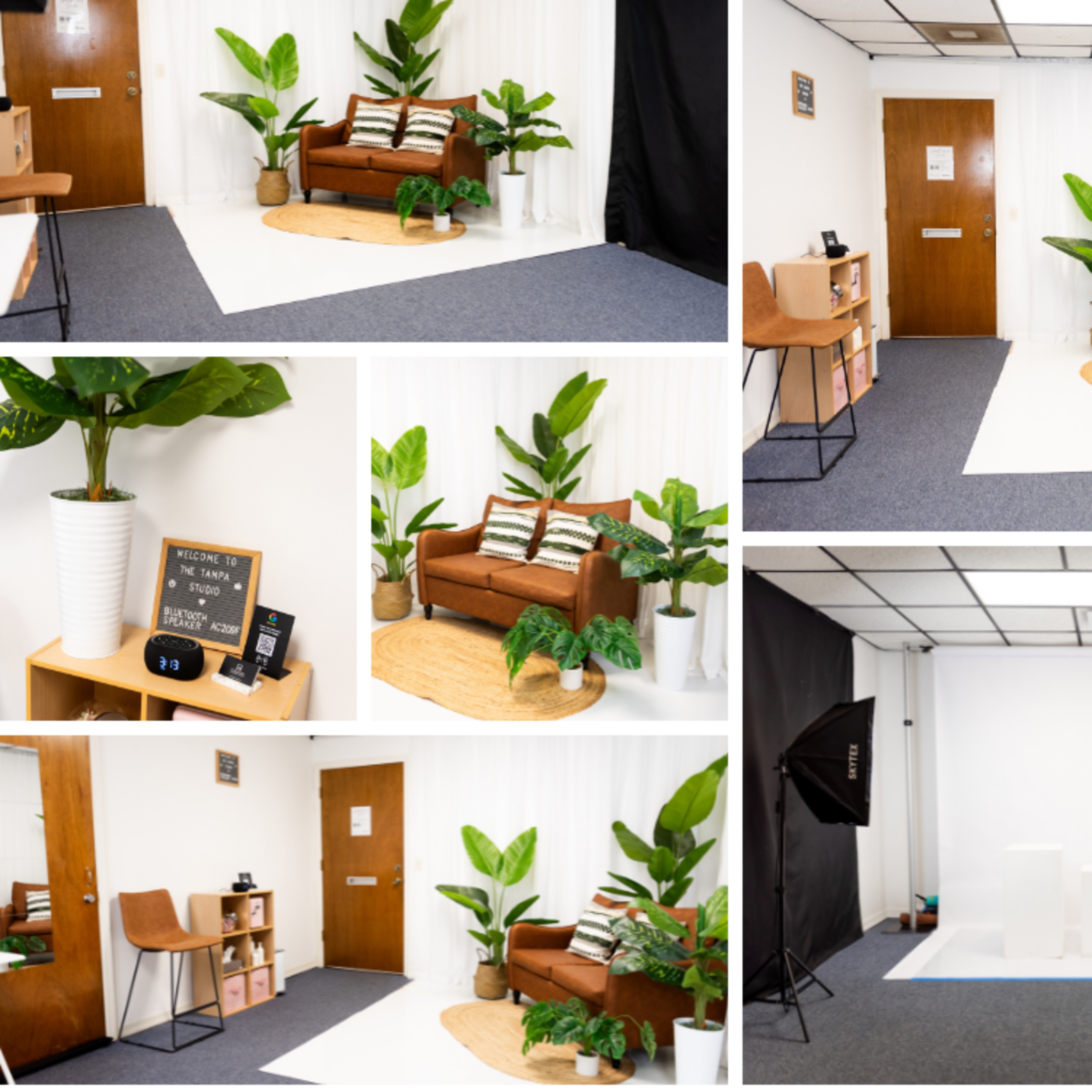 The Tampa Studio Image in Lake Magdalene, Tampa, FL
