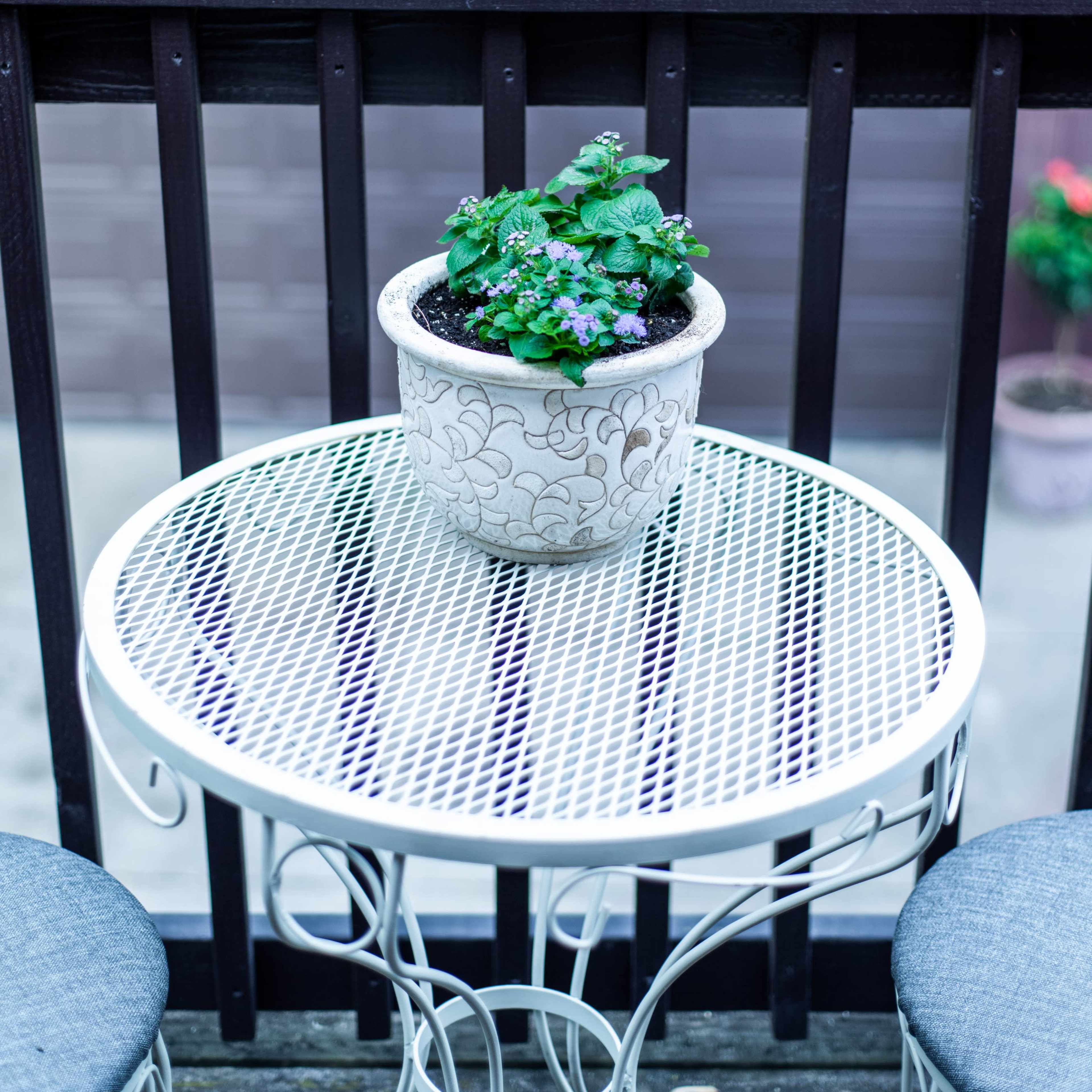 A potted plant sits on a round, metal table on a balcony overlooking a rooftop.