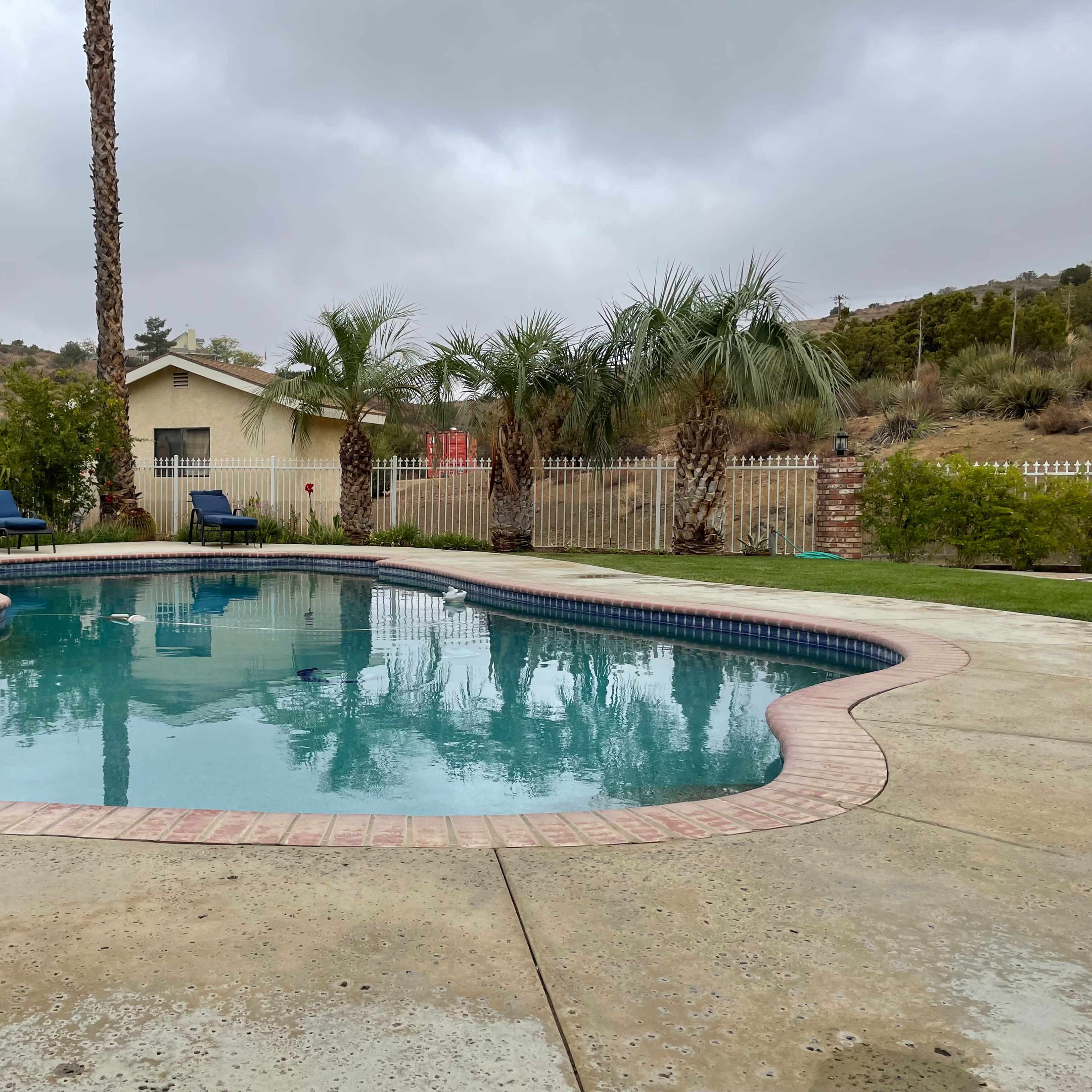 A clear blue swimming pool is surrounded by palm trees and a grassy area, with a house and hills in the background under a cloudy sky.