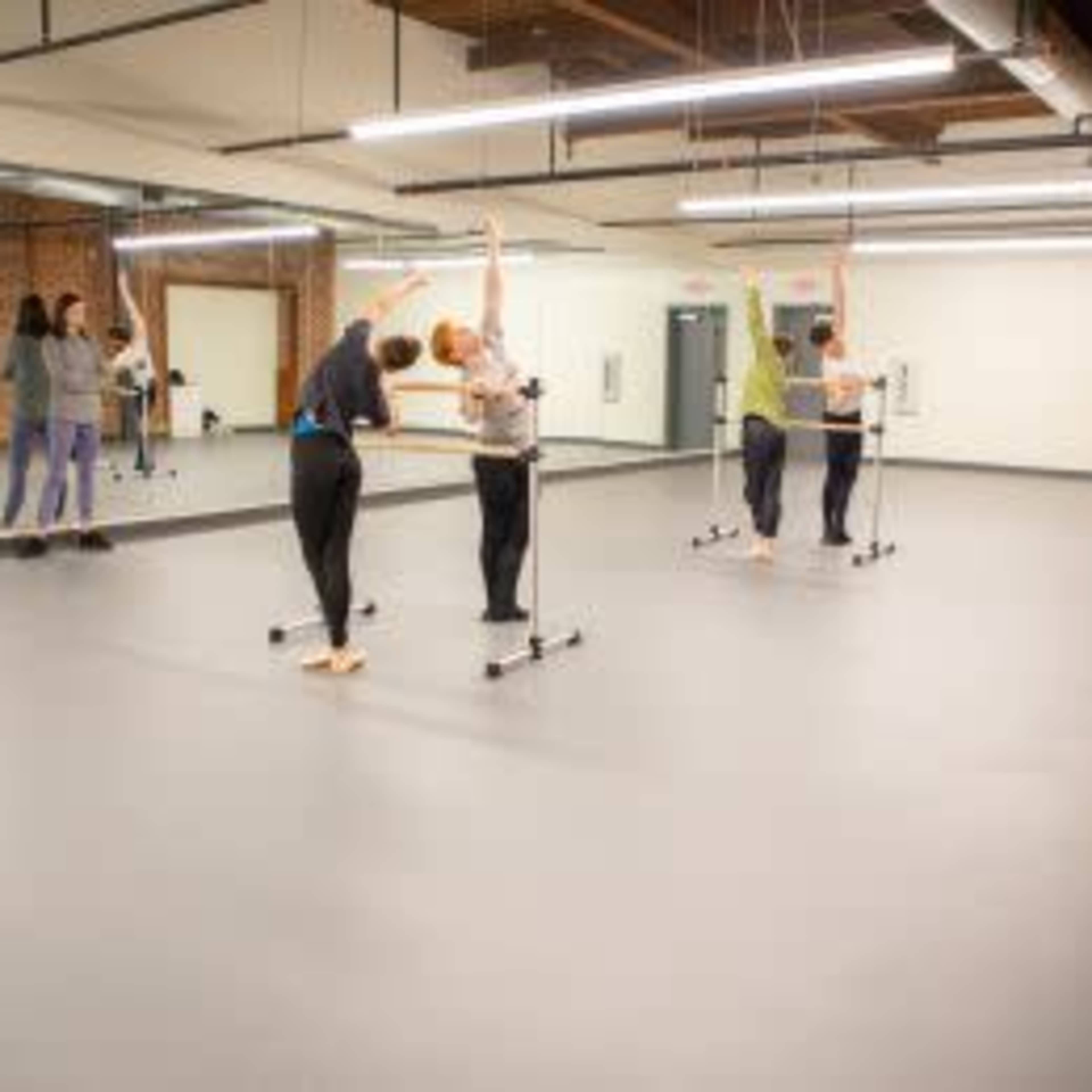 A group of individuals in a dance studio practice ballet at a mirrored wall and utilize ballet barres for support.