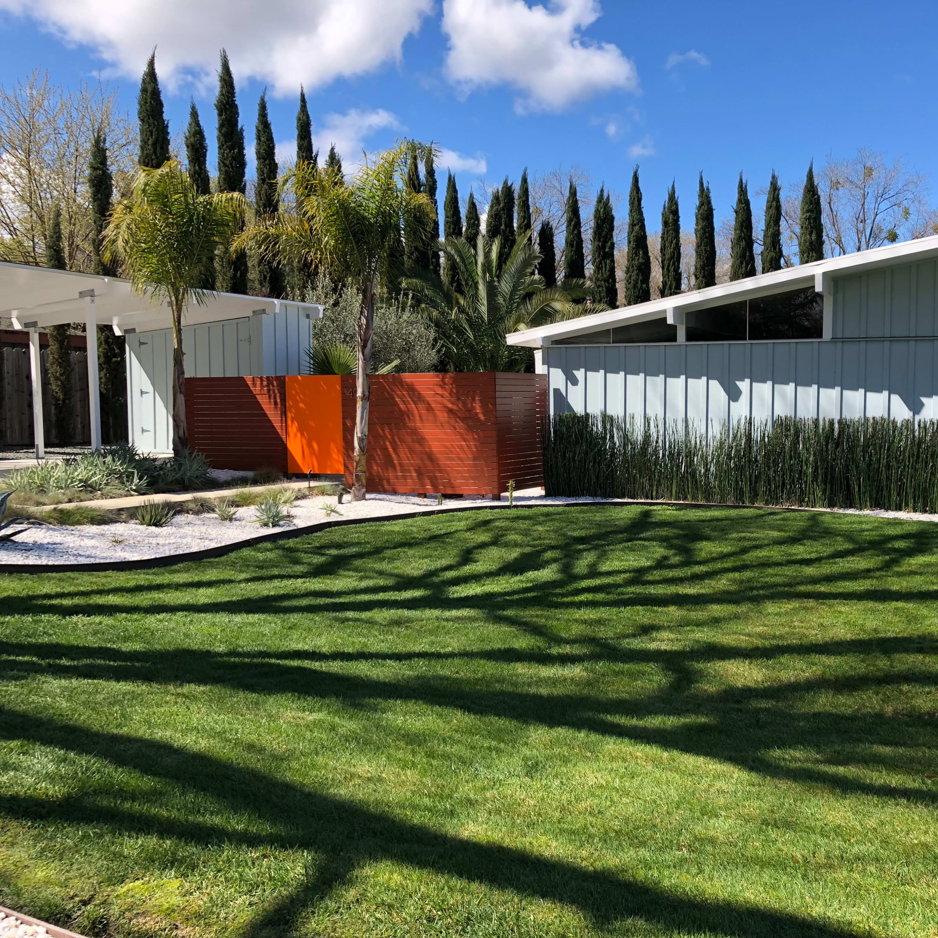 A landscaped yard with green grass, a wooden fence, and several palm trees under a clear blue sky.