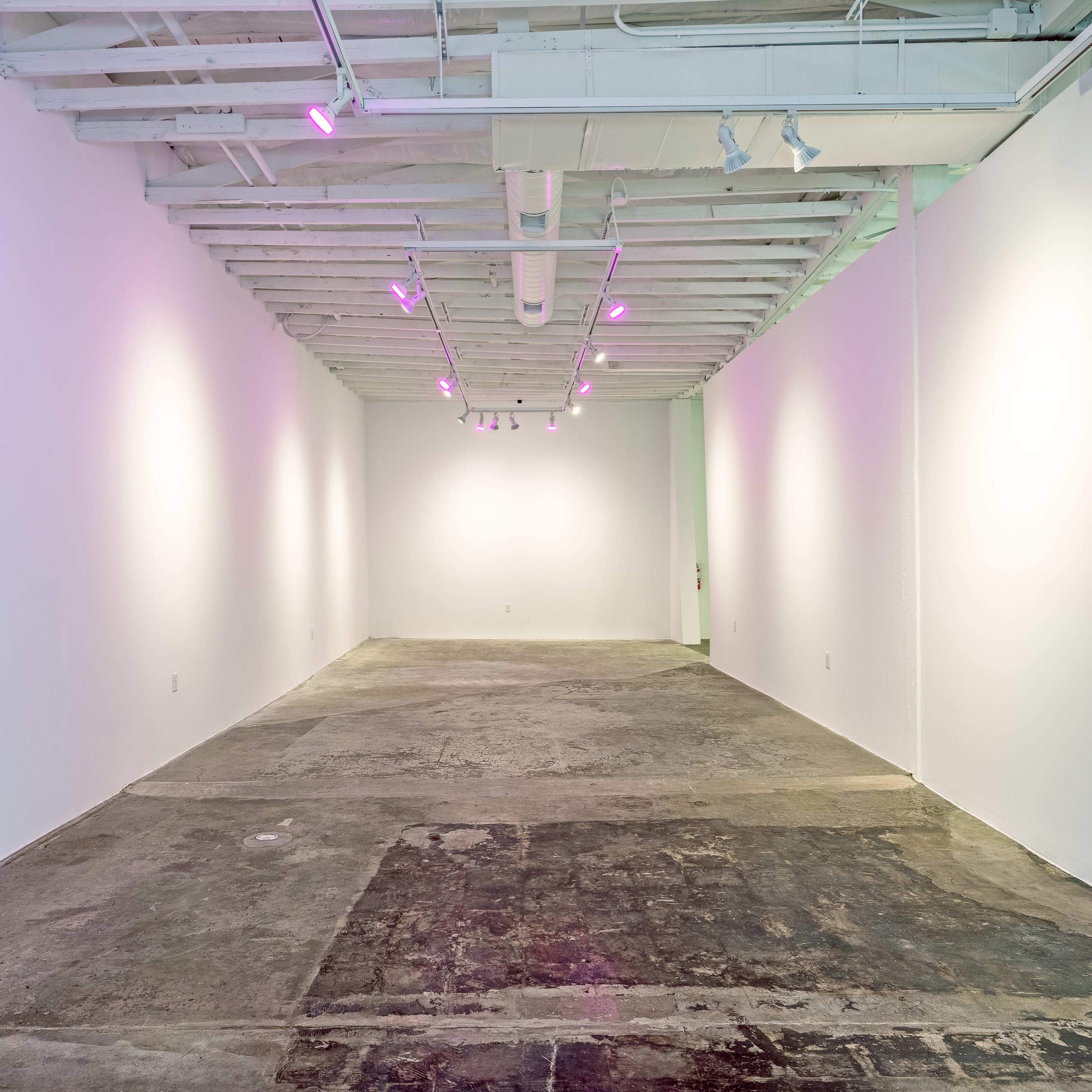 A spacious art gallery with white walls, exposed beams, and a concrete floor, illuminated by pink lighting.