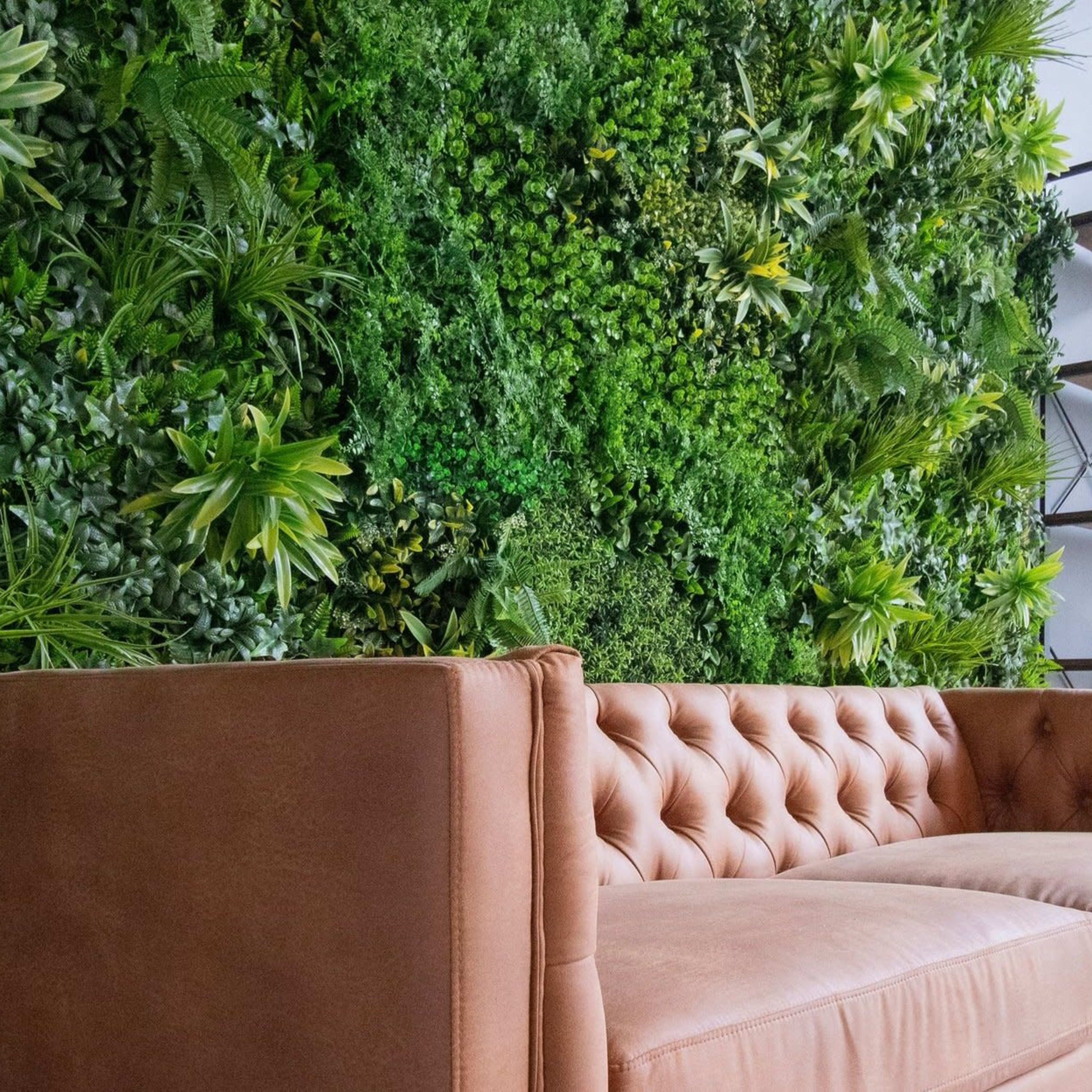 A brown tufted sofa positioned in front of a lush green wall filled with various types of plants.