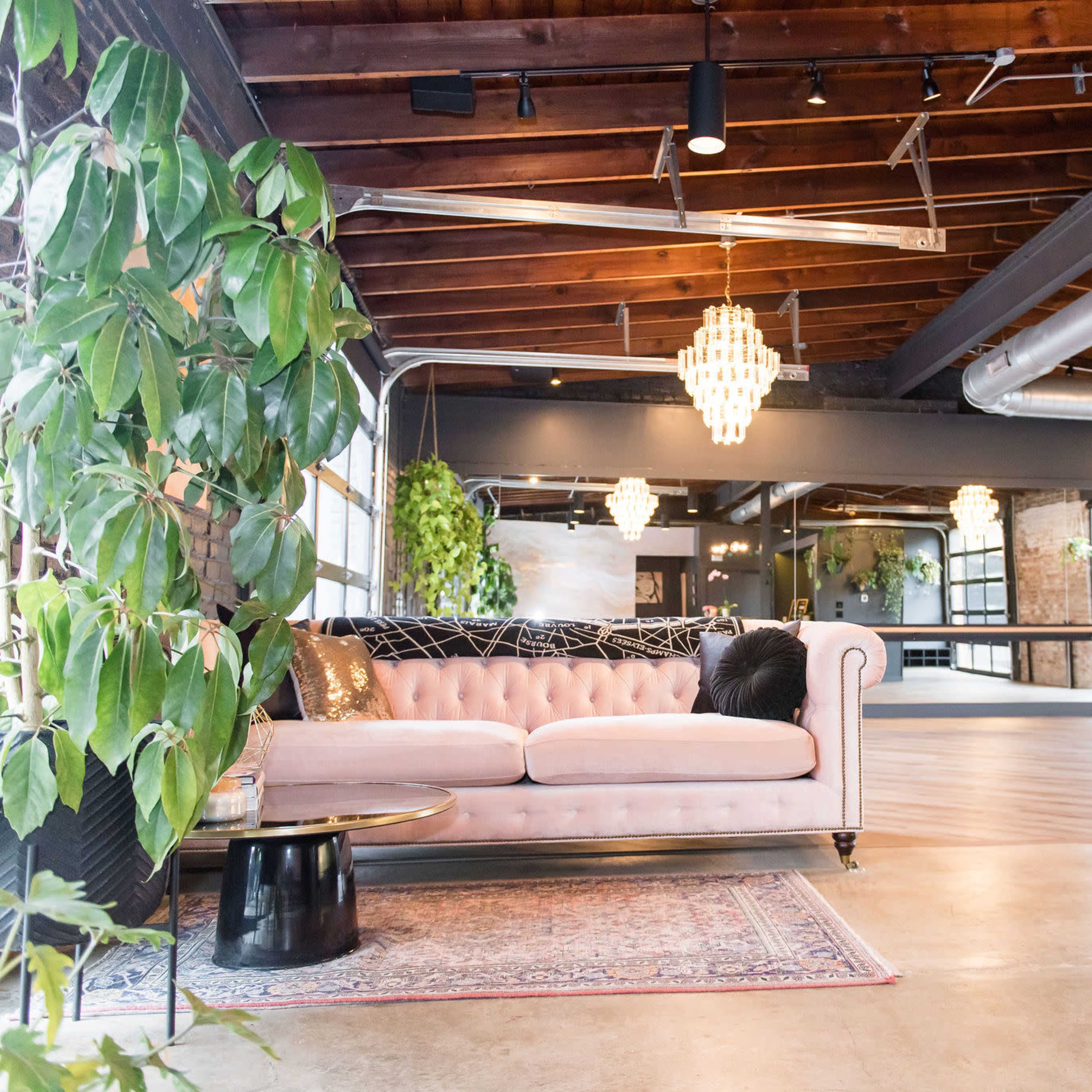 Natural Light Filled Glamorous Studio in Scott's Addition Image in Scott's Addition Historic District, Richmond, VA