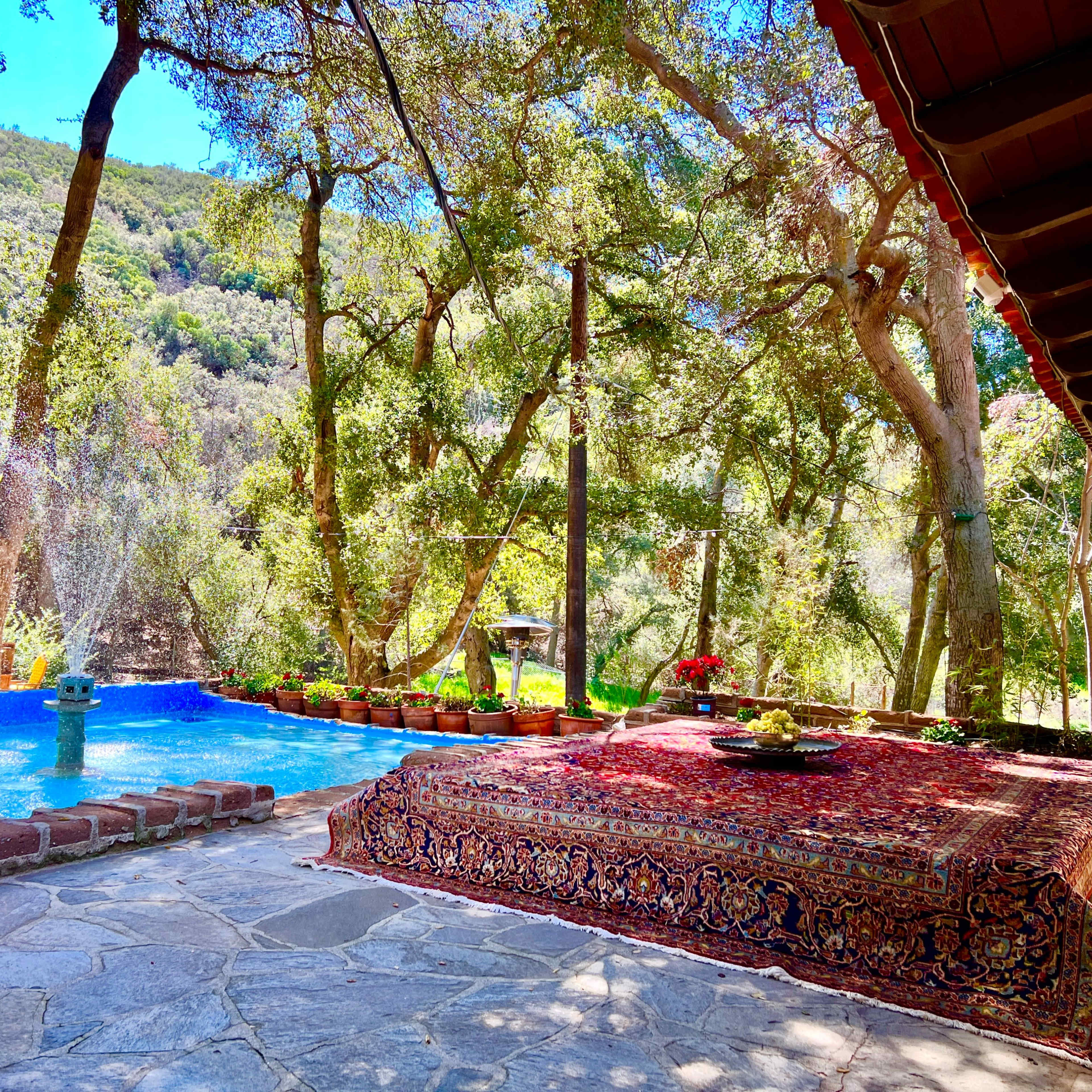 A serene outdoor space featuring a swimming pool surrounded by trees and decorated with a patterned rug and potted plants.