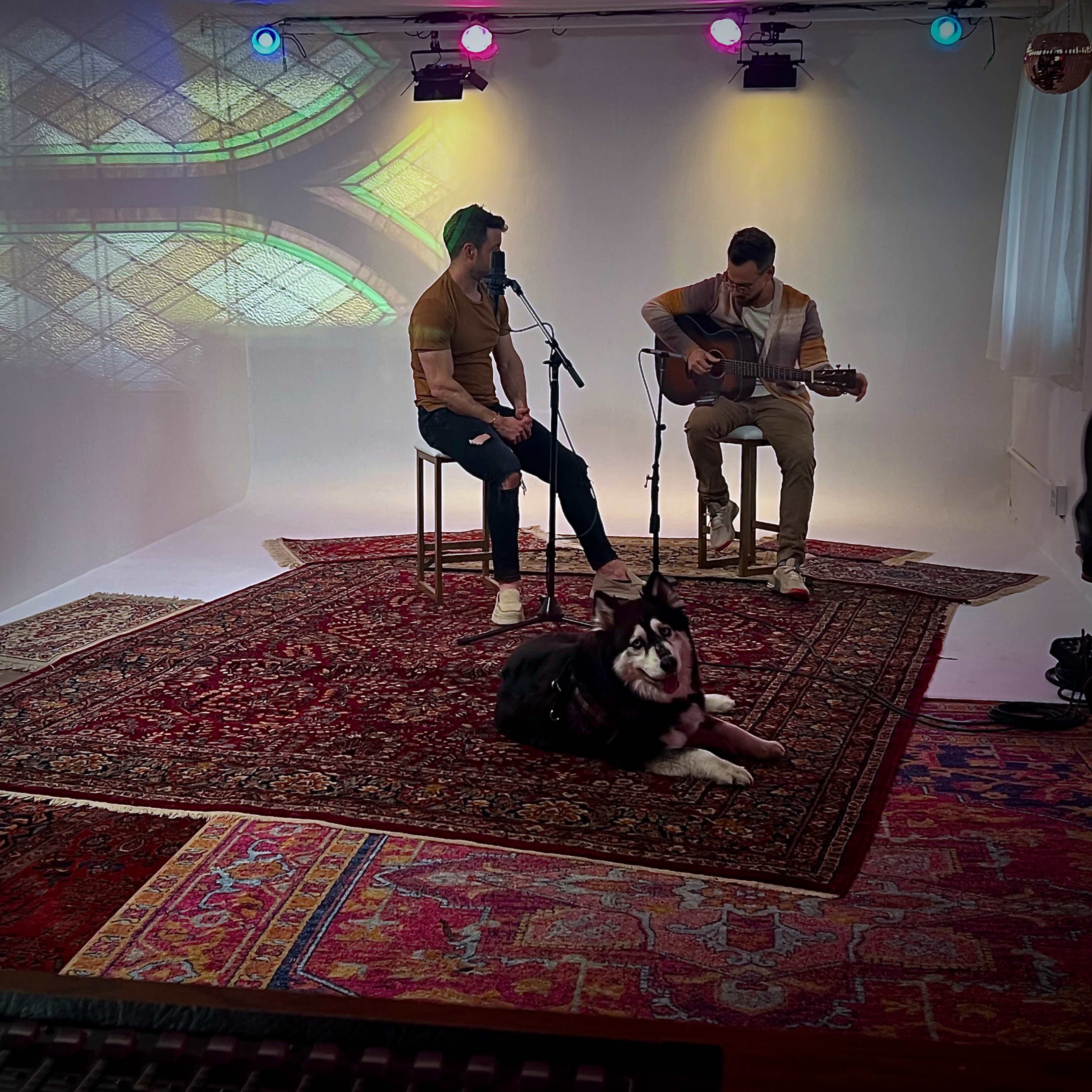 Two musicians perform on stage with a guitar and microphone, while a dog lies on a patterned rug nearby.