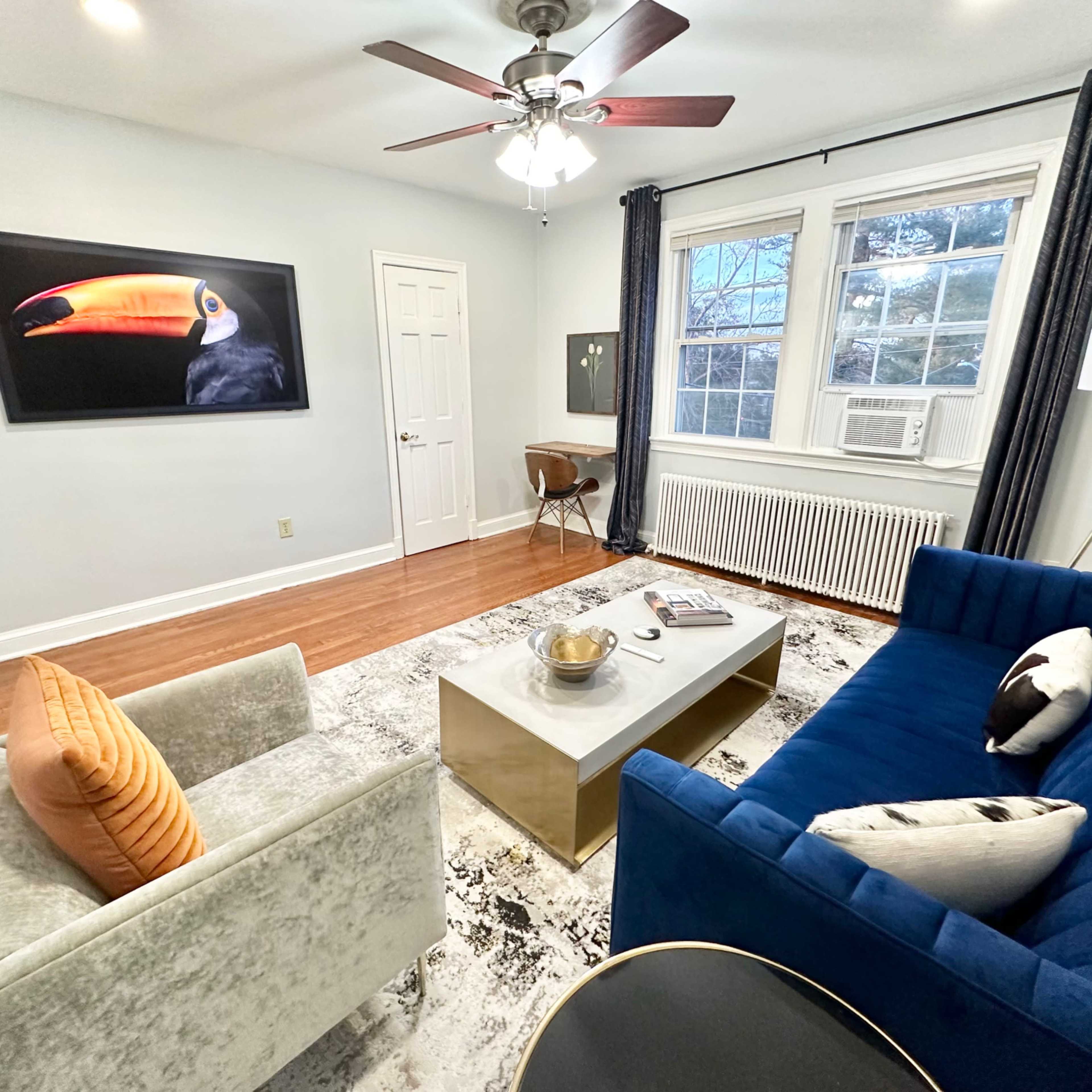 A living room featuring a blue couch, a gray armchair, a coffee table, and a large wall-mounted screen displaying a toucan.