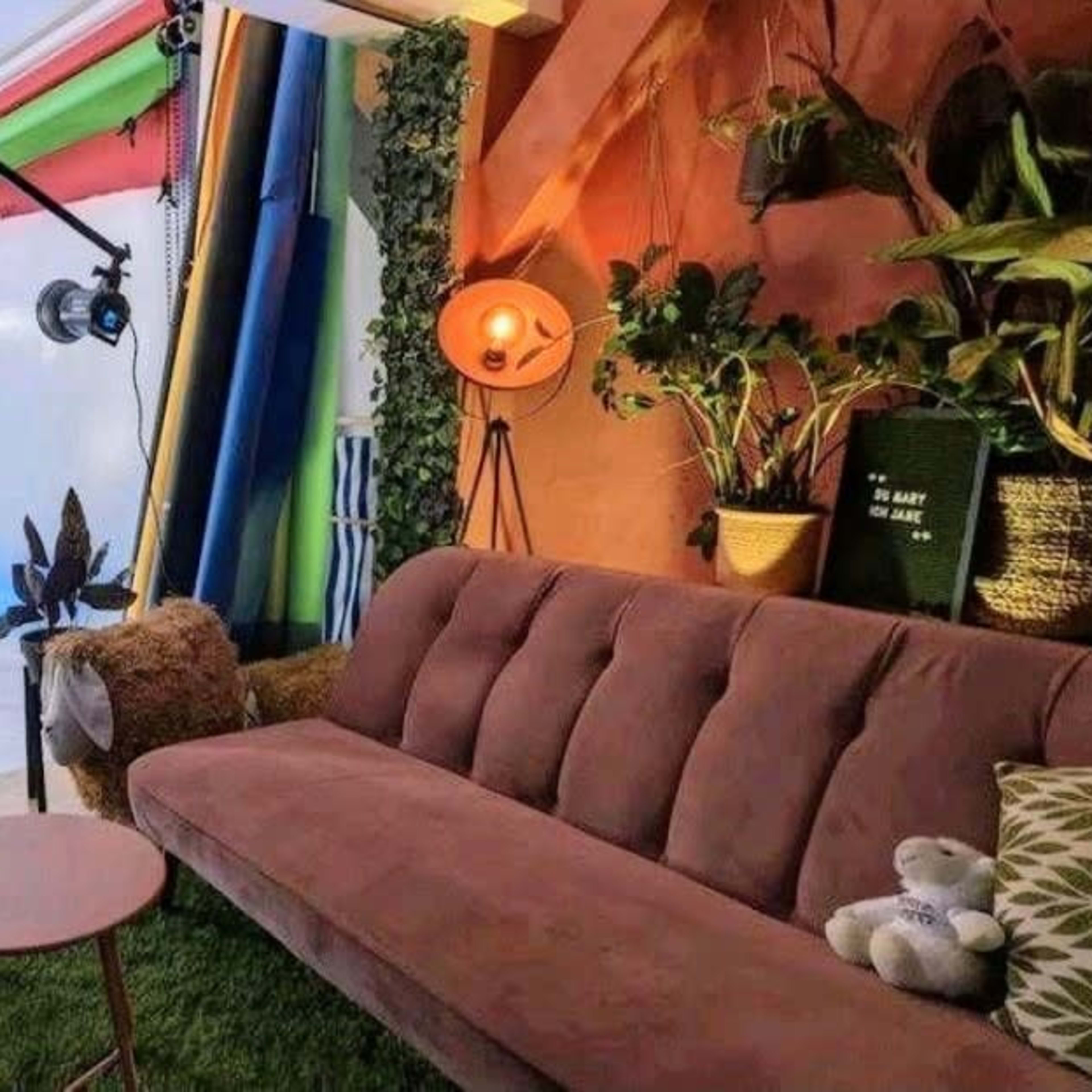 A photography studio with a variety of colorful backdrops, lighting equipment, a brown couch, and decorative plants.