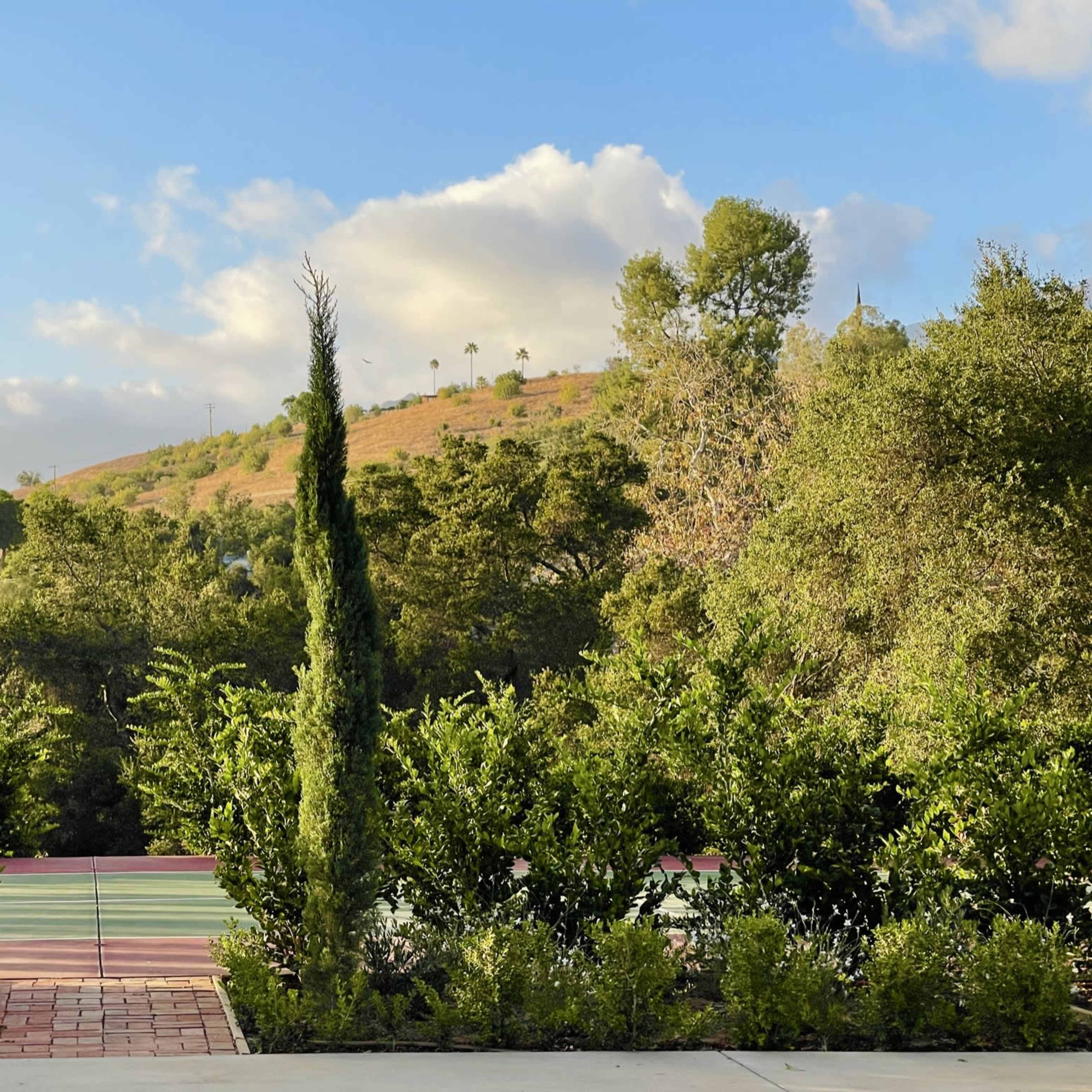 A landscape featuring two tall cypress trees flanking a view of a green hillside under a partly cloudy sky.