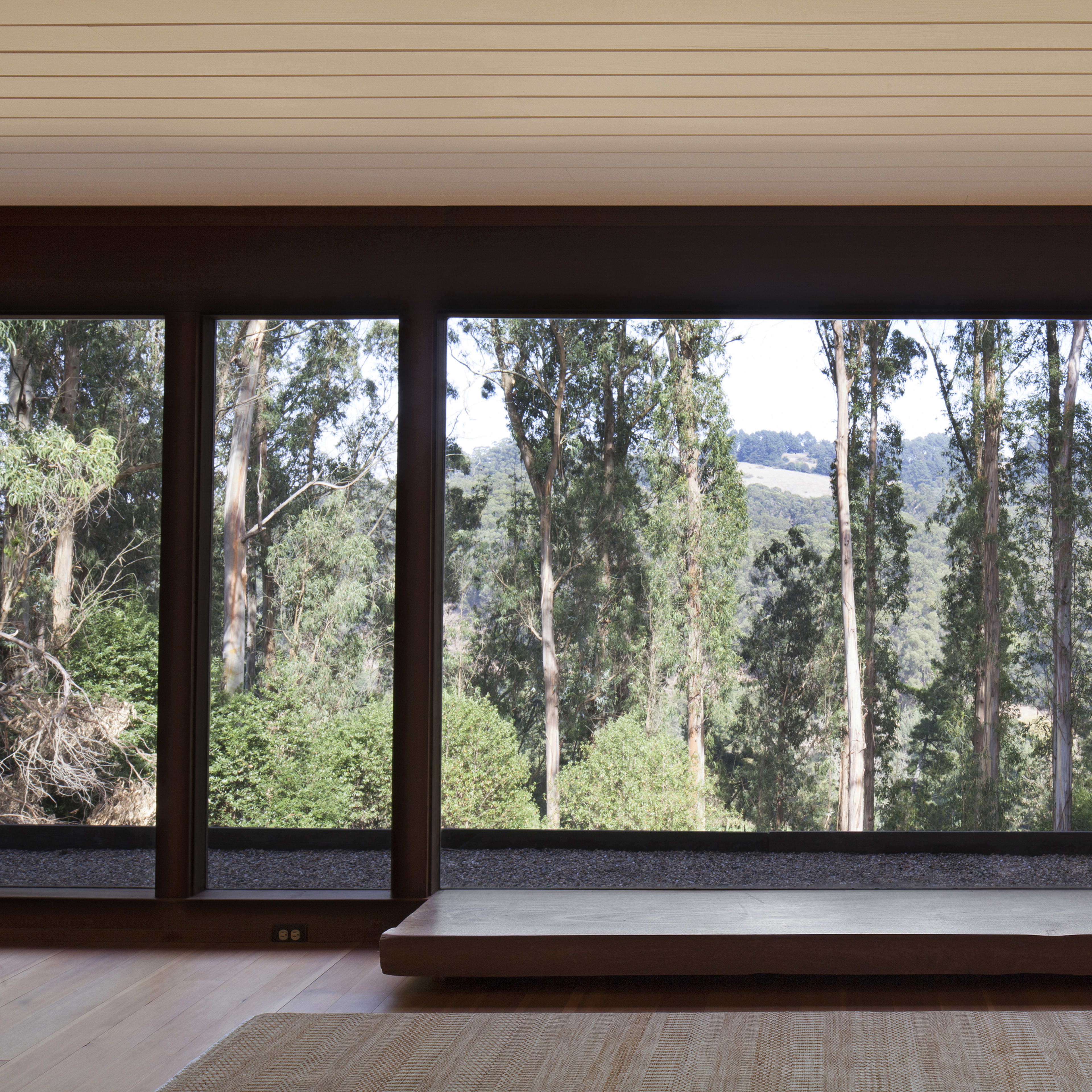 A spacious interior with large floor-to-ceiling windows overlooking a forested area.
