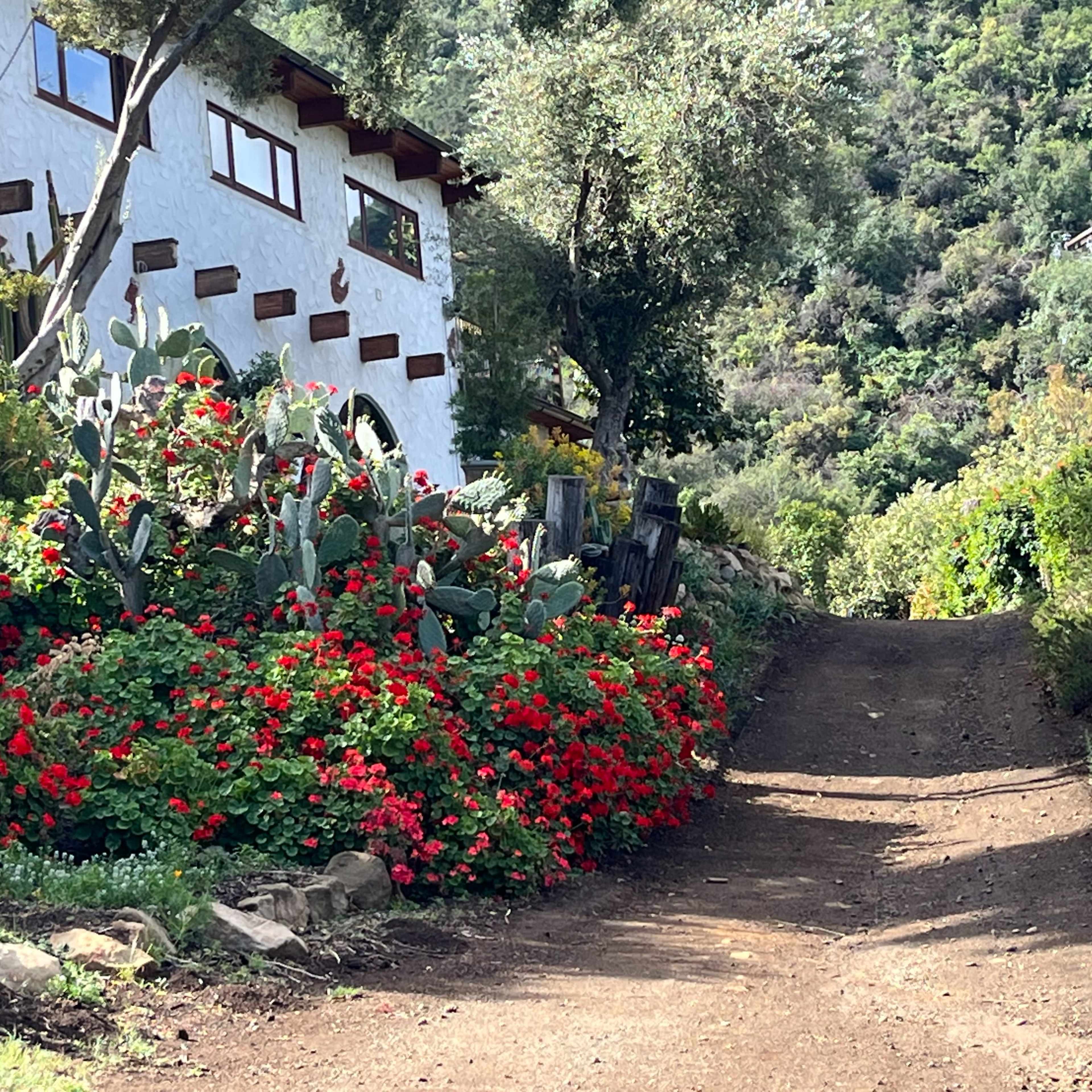 A dirt path leads up to a white house surrounded by vibrant flowers and vegetation on a hillside.