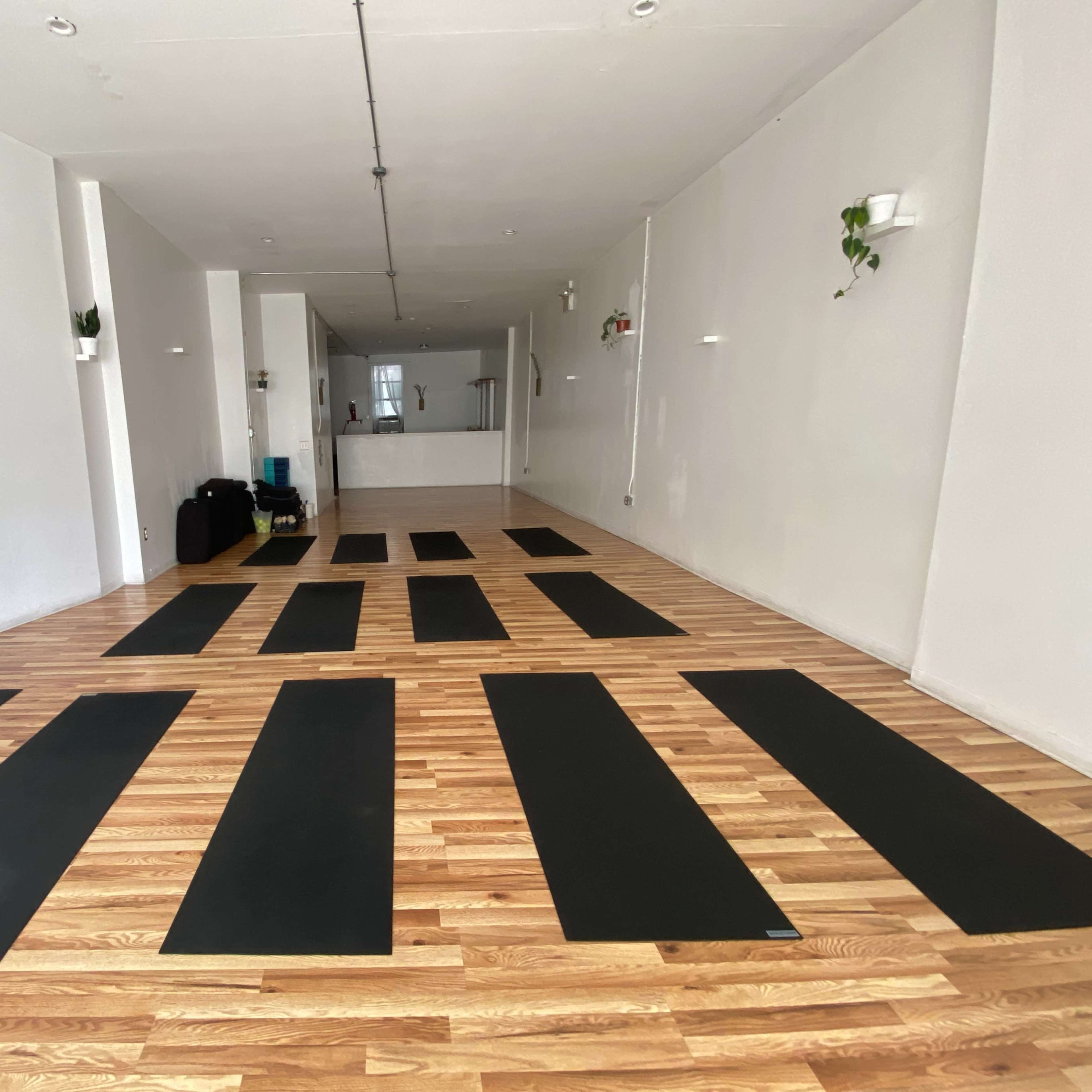 Peaceful Crown Heights Yoga Studio Image in Crown Heights, Brooklyn, NY