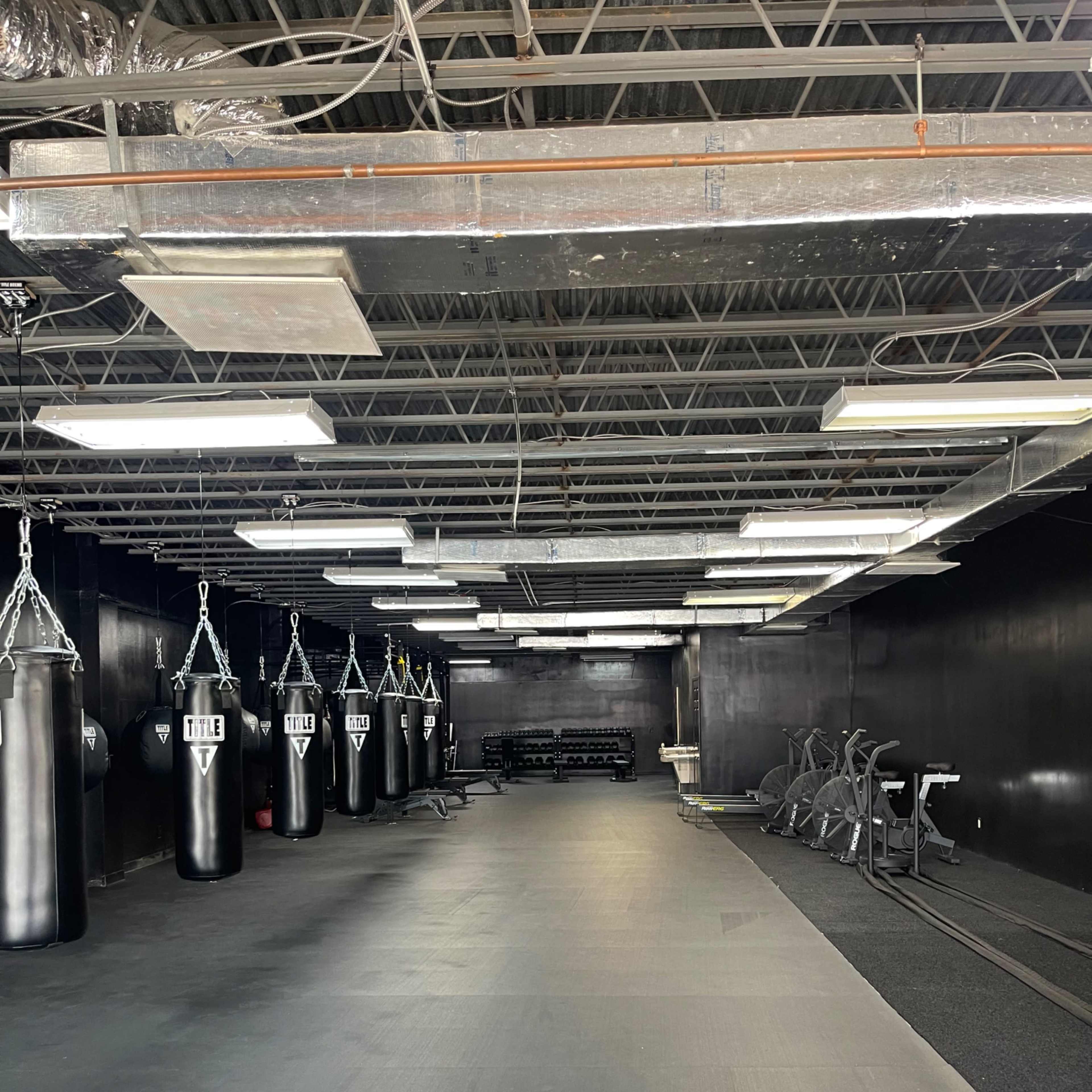 North Georgia Premium Fitness and Boxing Gym Image in Gainesville, Gainesville, GA