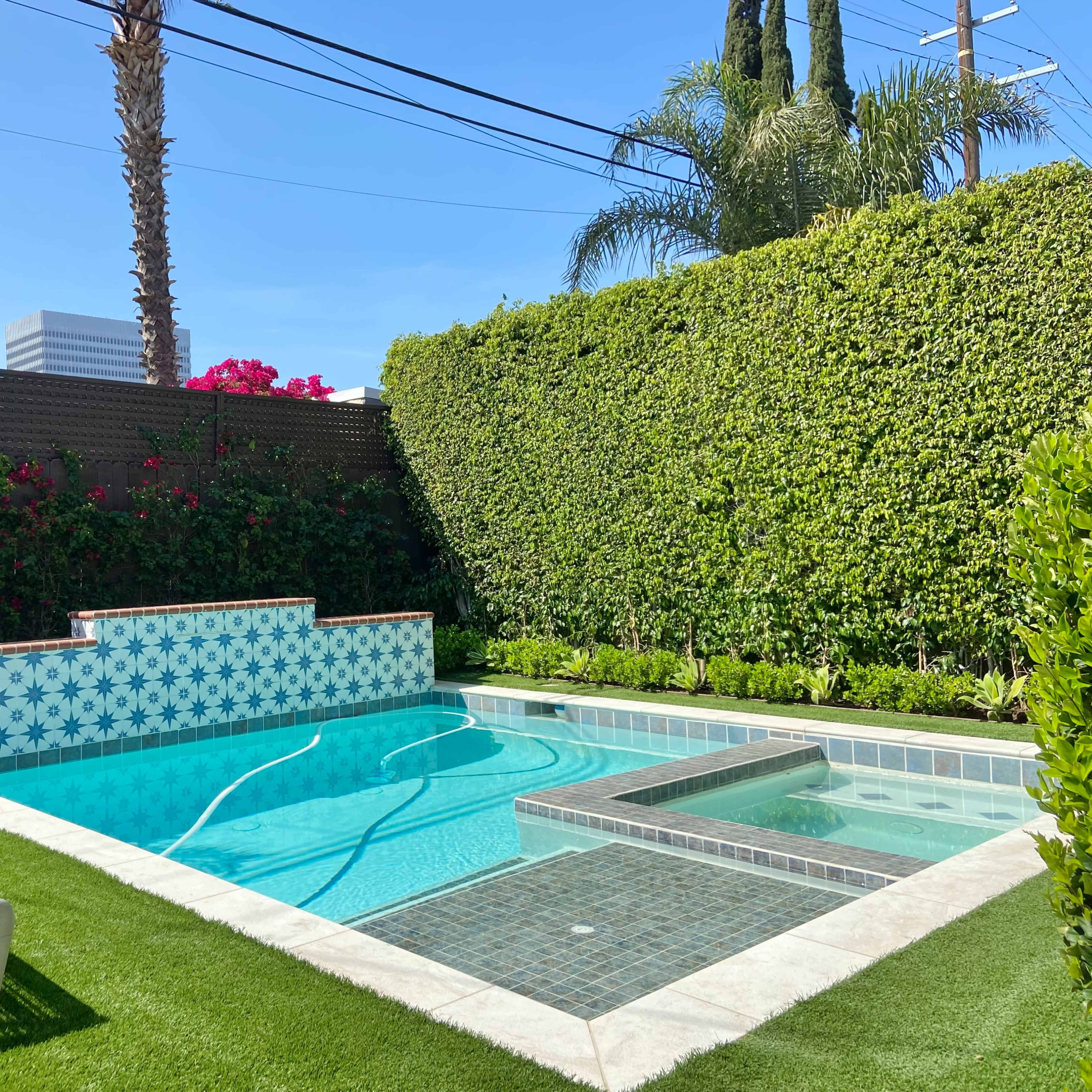 A backyard pool area featuring a tiled swimming pool, a spa, and landscaped greenery surrounded by palm trees and flowering plants.