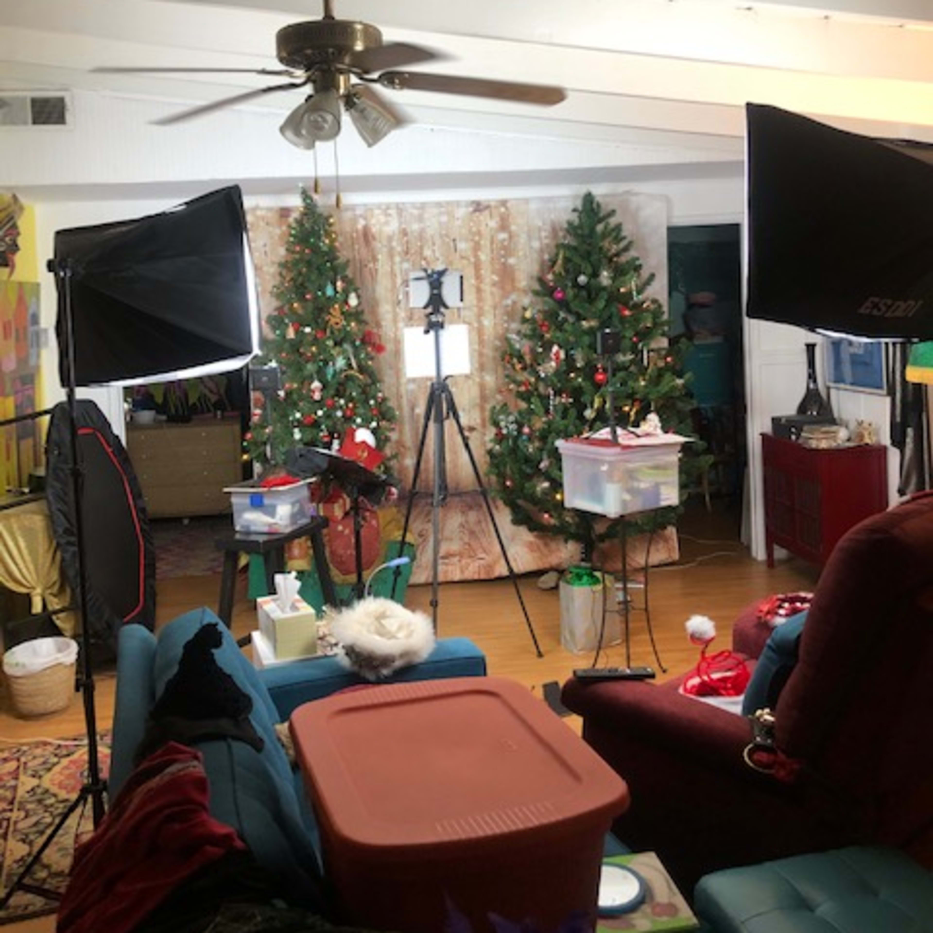 A living room is set up with two Christmas trees and professional lighting equipment for a photo or video shoot.