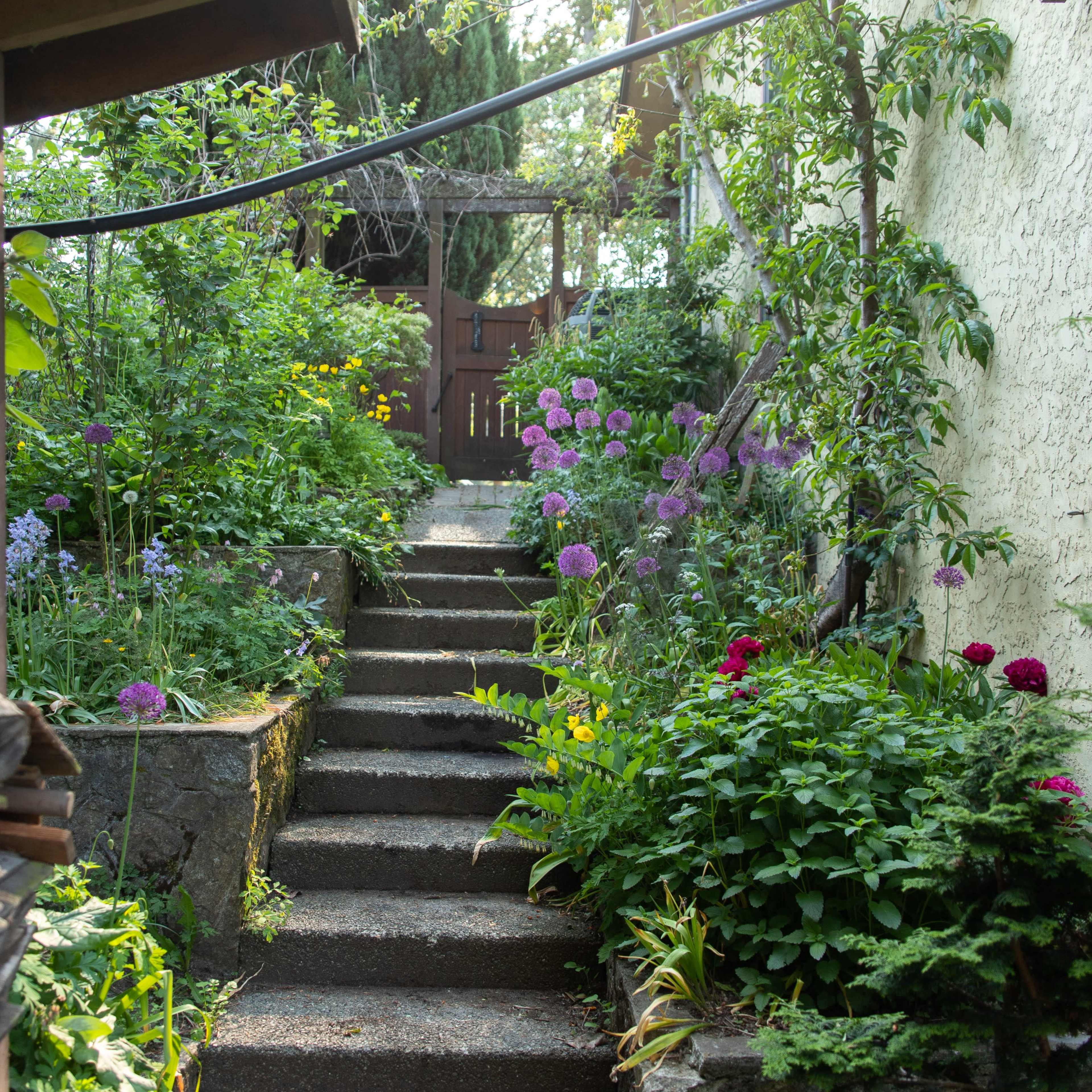 A stone pathway leads up through a lush garden filled with various flowering plants, bordered by greenery on either side.
