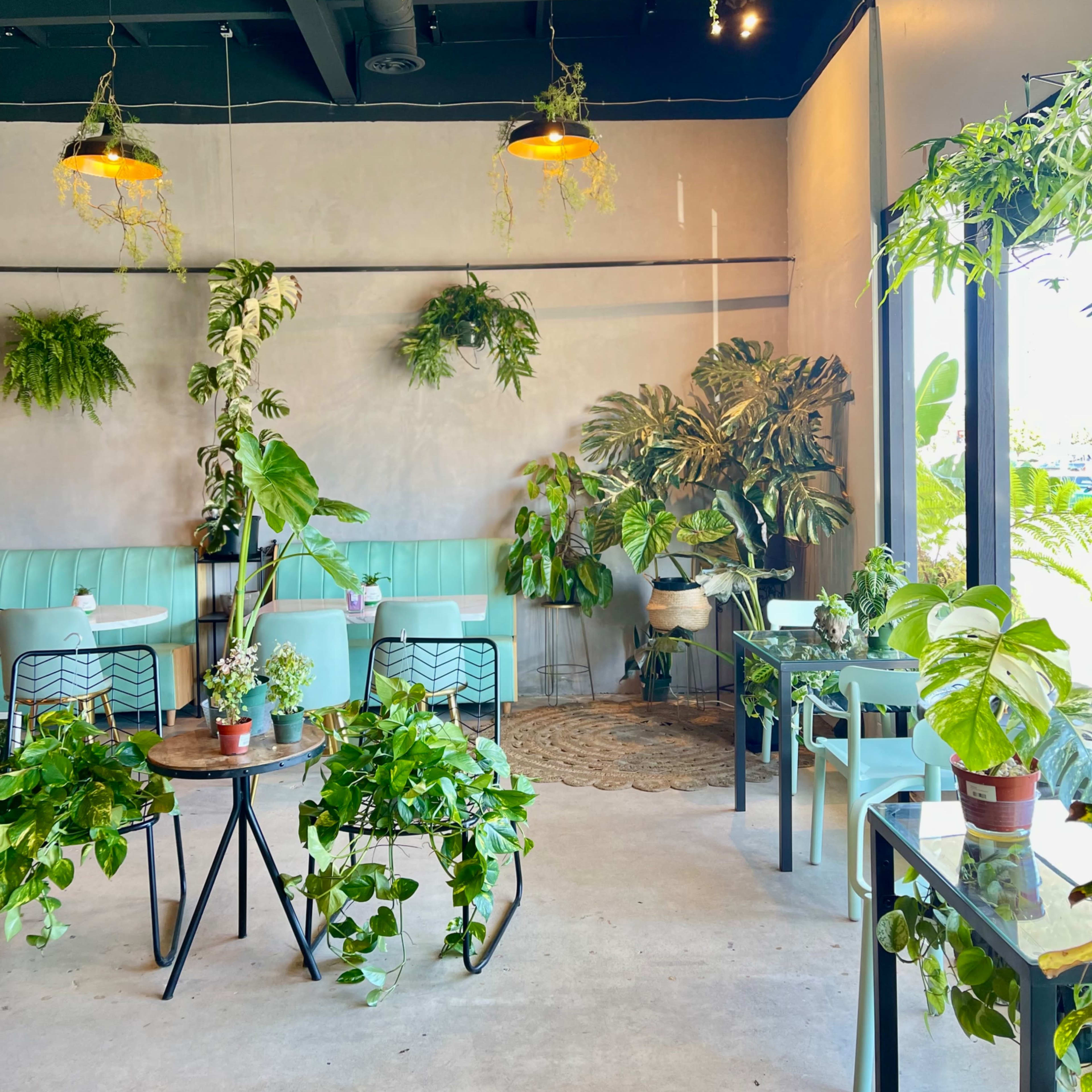 A stylish indoor café with plants hanging from the ceiling and arranged on tables, creating a vibrant green atmosphere.