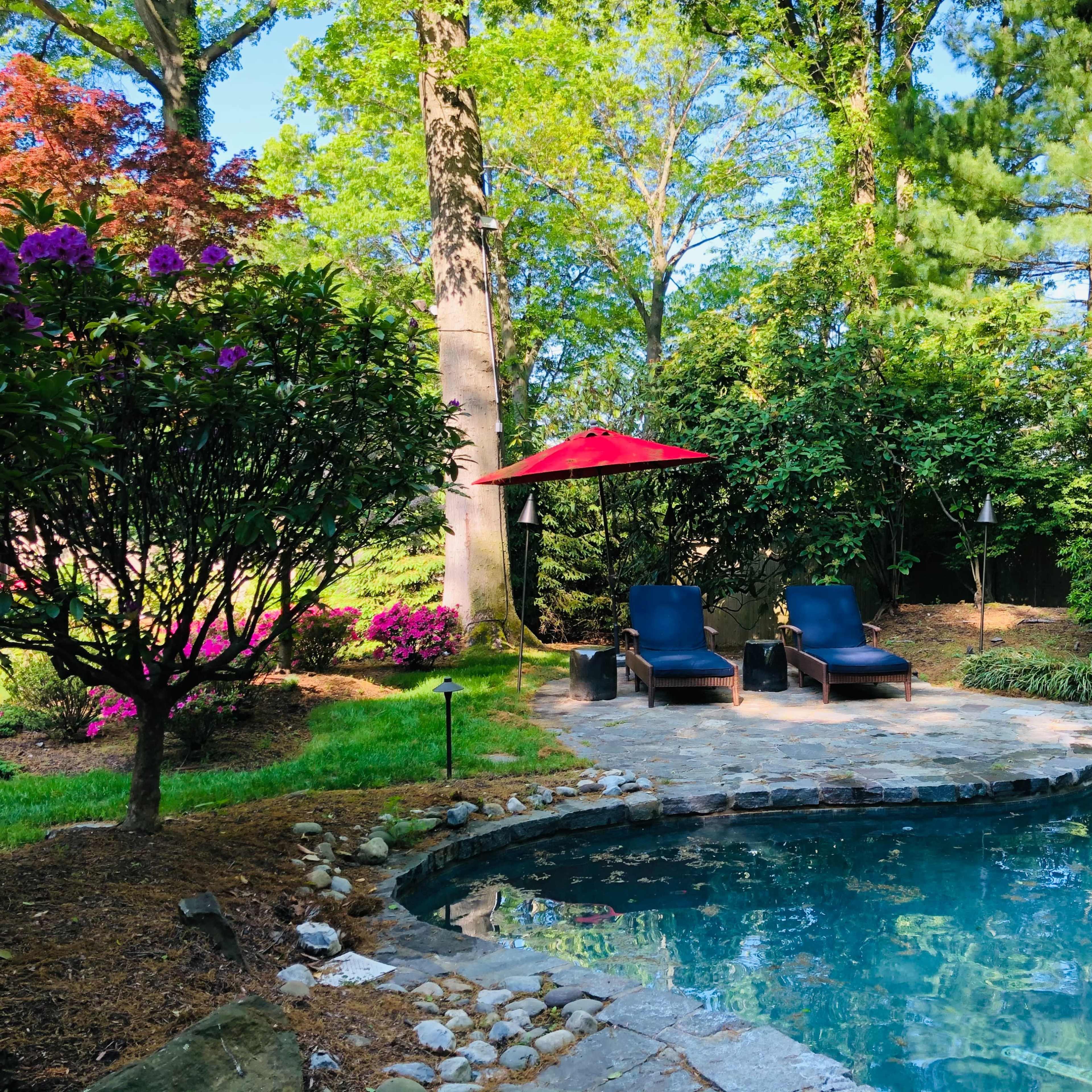 A small, landscaped backyard features a stone patio with two lounge chairs, an umbrella, and a swimming pool surrounded by greenery and flowering bushes.