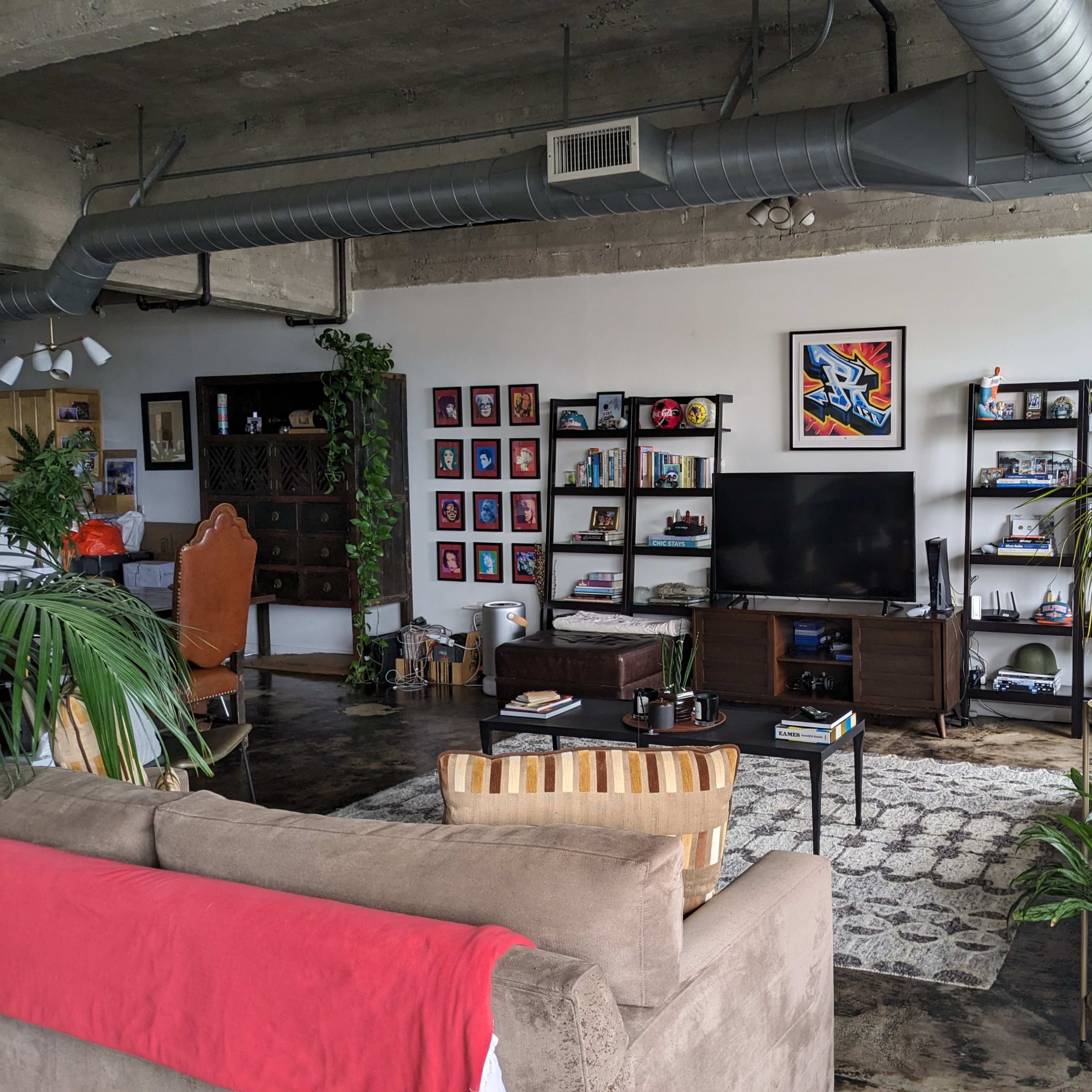 A spacious living room with a TV, bookshelves filled with various items, and plants, featuring a mix of comfortable seating and decorative elements.