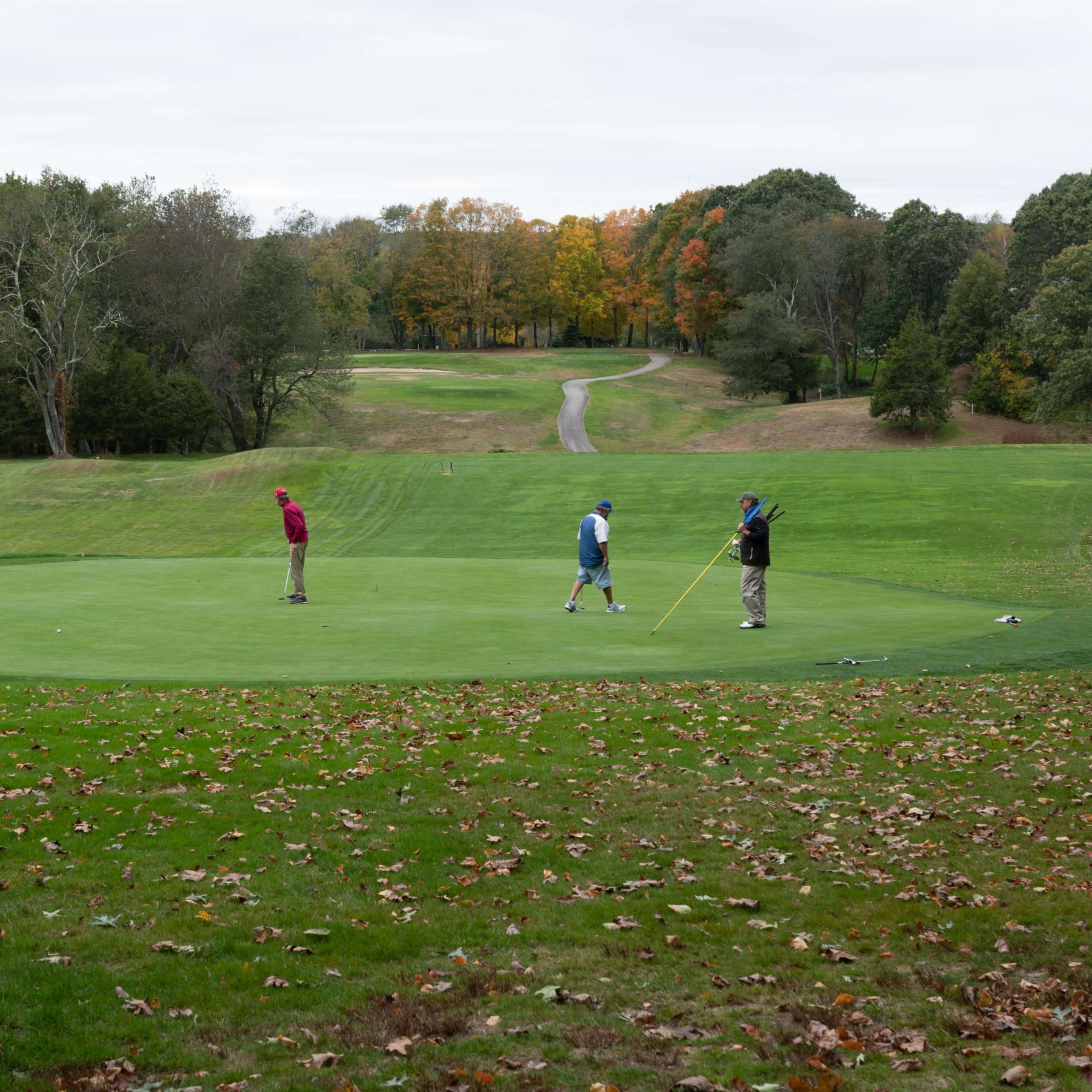 Four golfers are putting on a green set against a backdrop of autumn trees and a winding path.