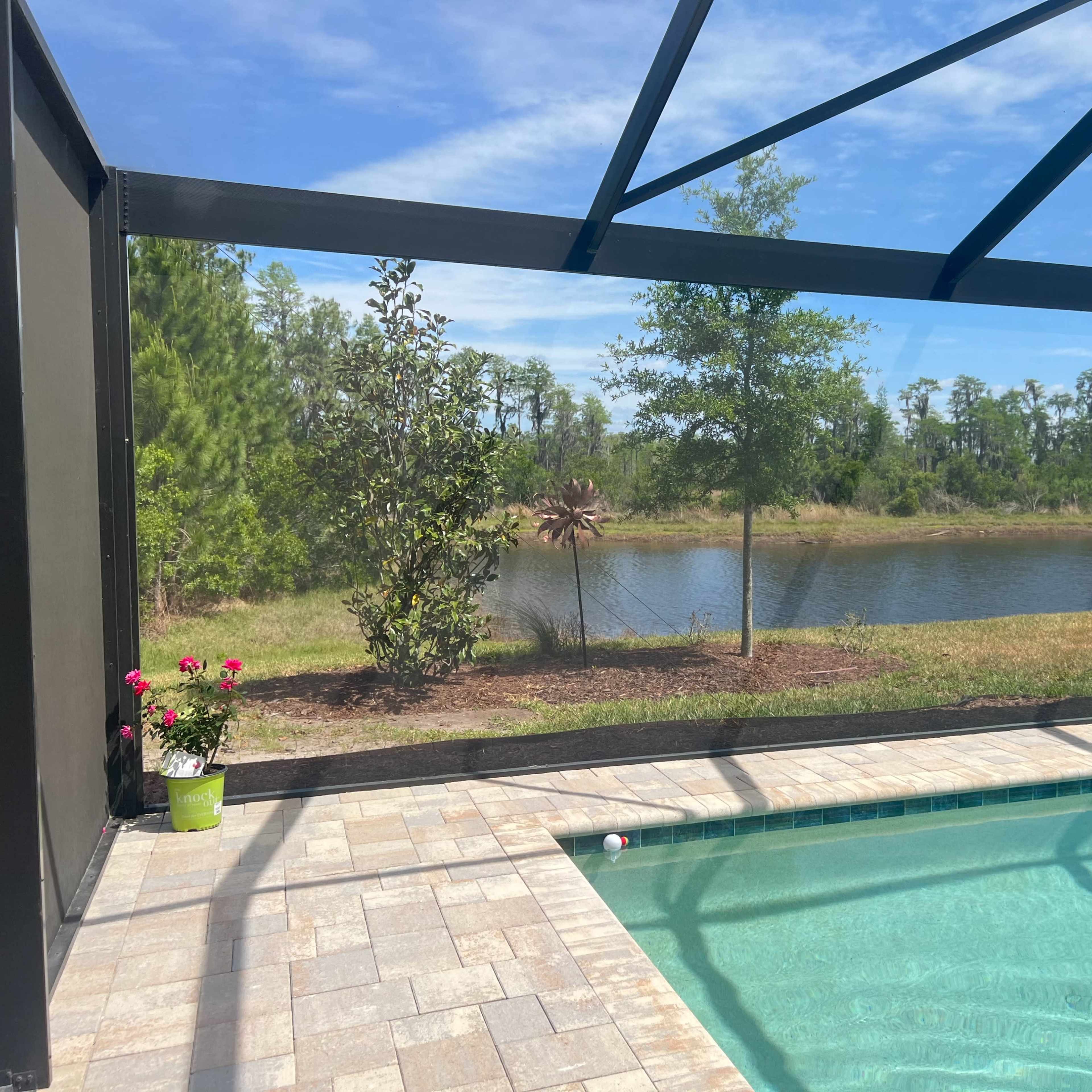 A backyard pool with a screened enclosure overlooks a grassy area and a calm body of water surrounded by trees.