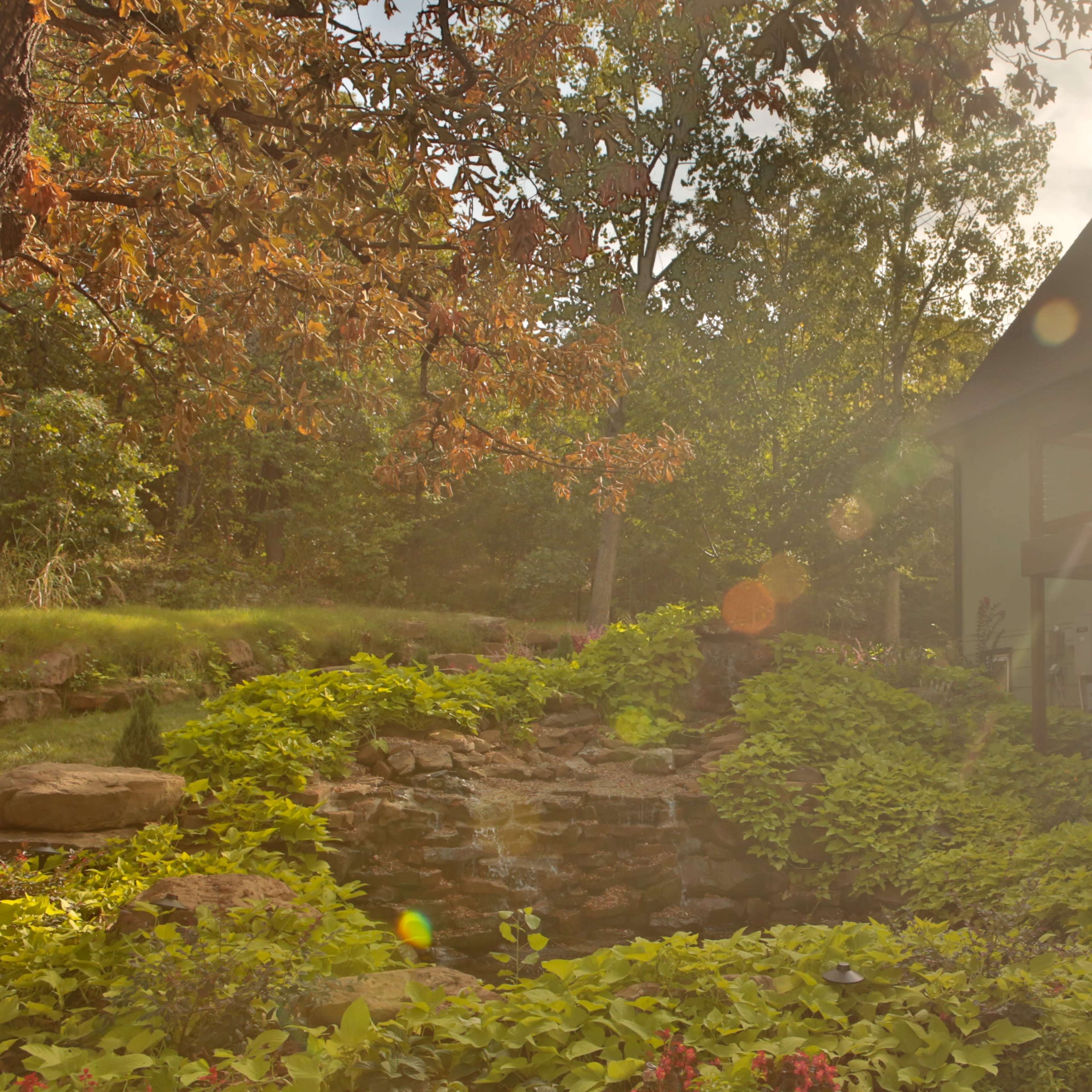A sunlit scene depicts a green house beside a landscaped garden with a small stone water feature and blooming flowers.