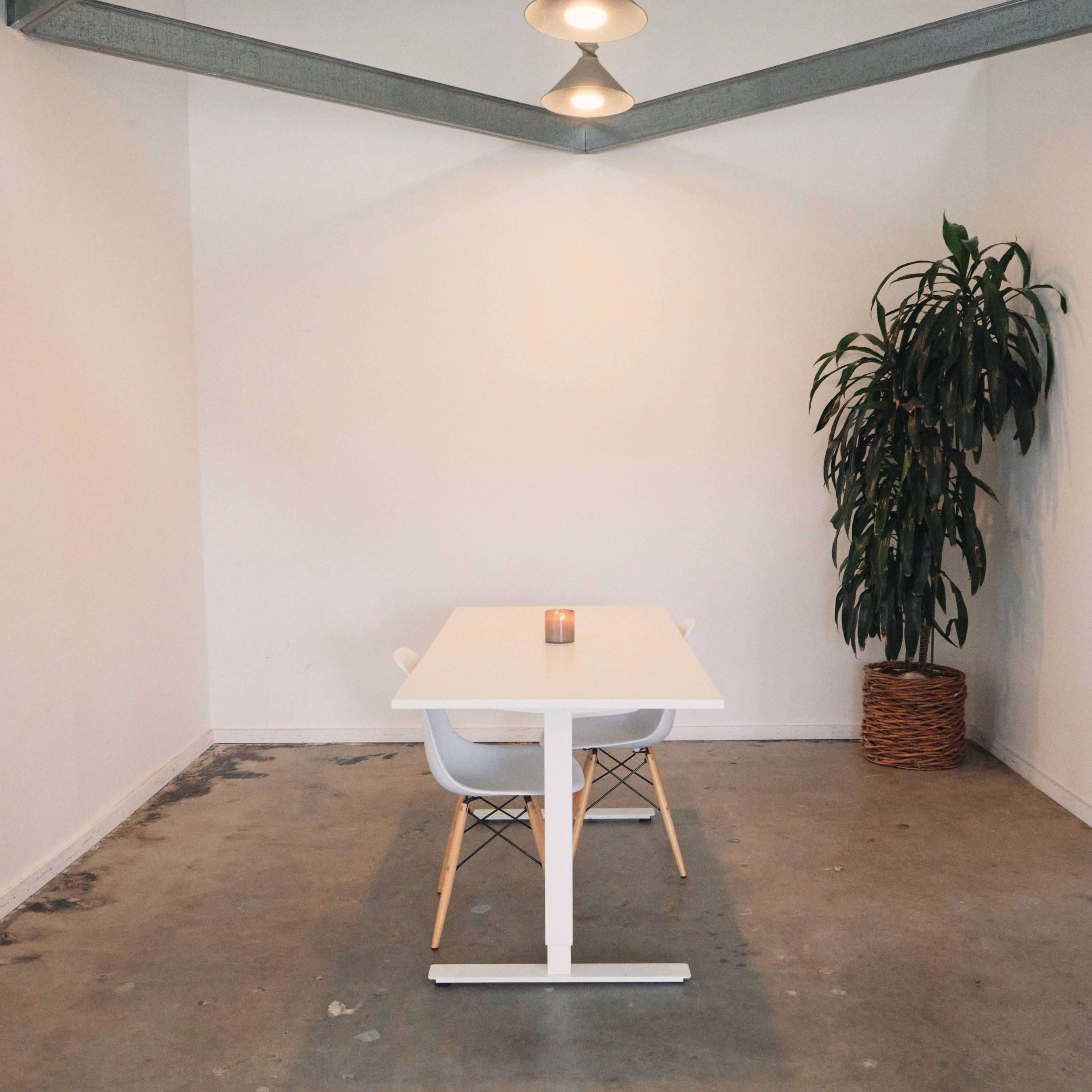 A white table with chairs is positioned in a minimalist room featuring a large green plant and industrial lighting.