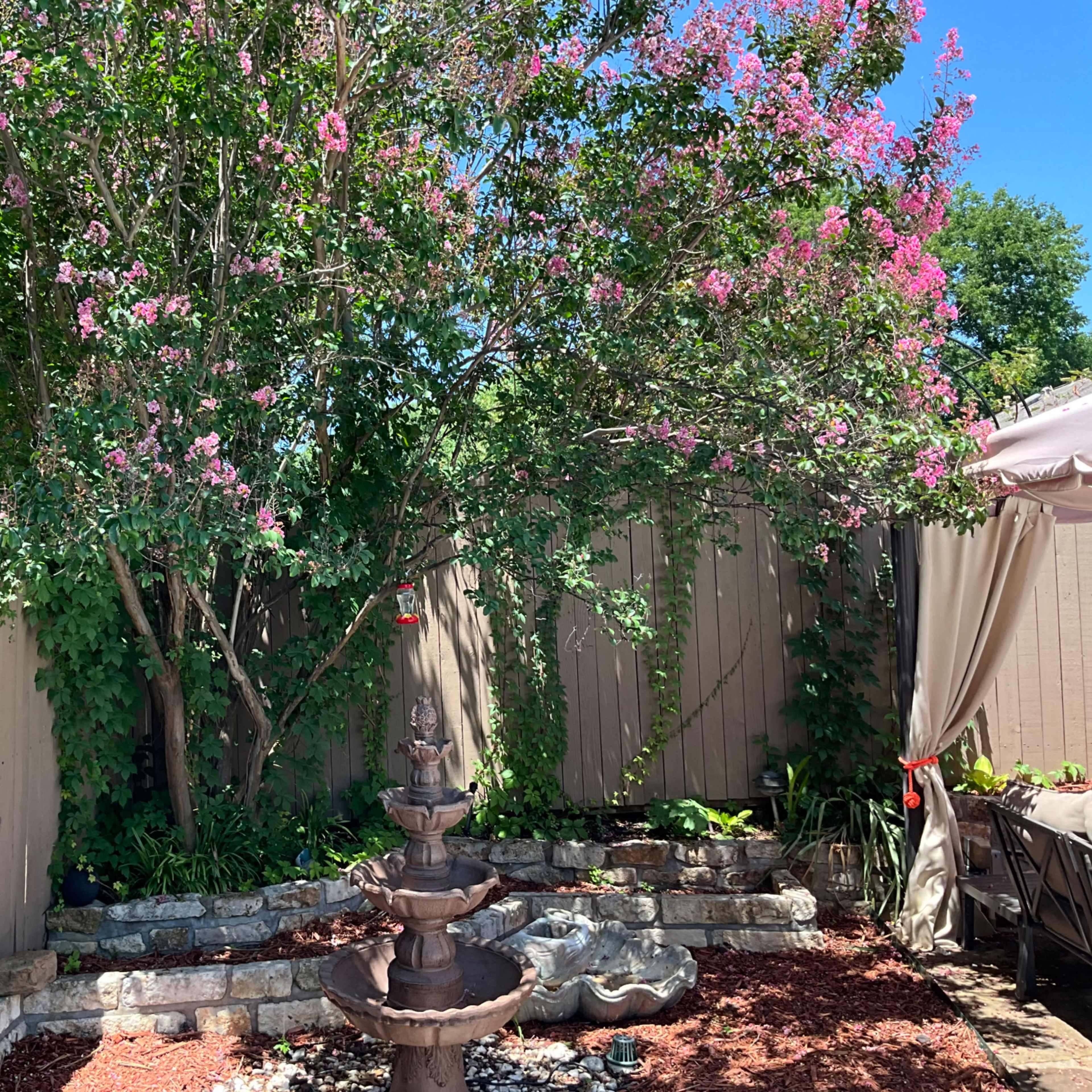 A garden with a tiered fountain surrounded by flowering plants and a wooden fence.