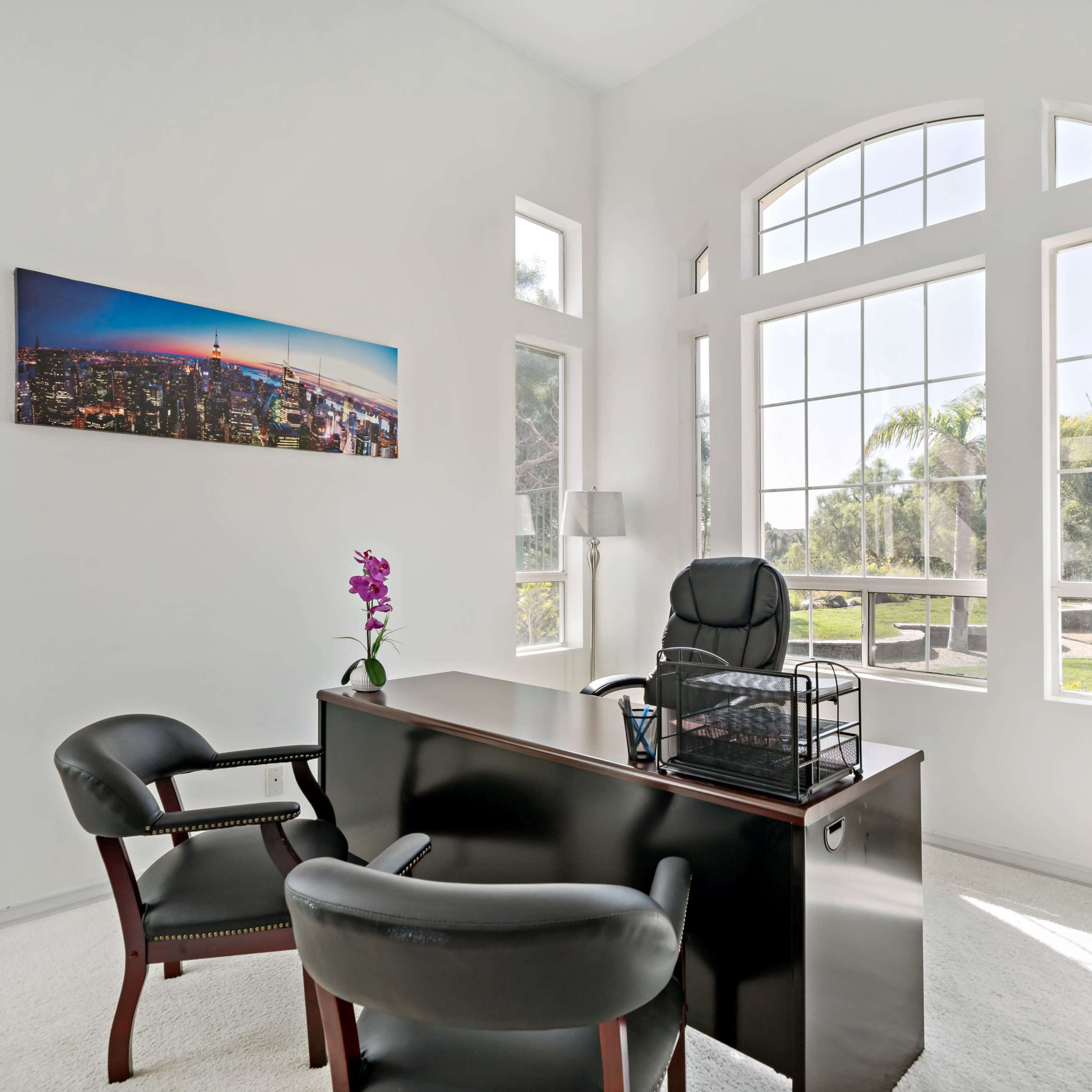 A modern office features a black desk, two chairs, large windows allowing natural light, and a potted plant.