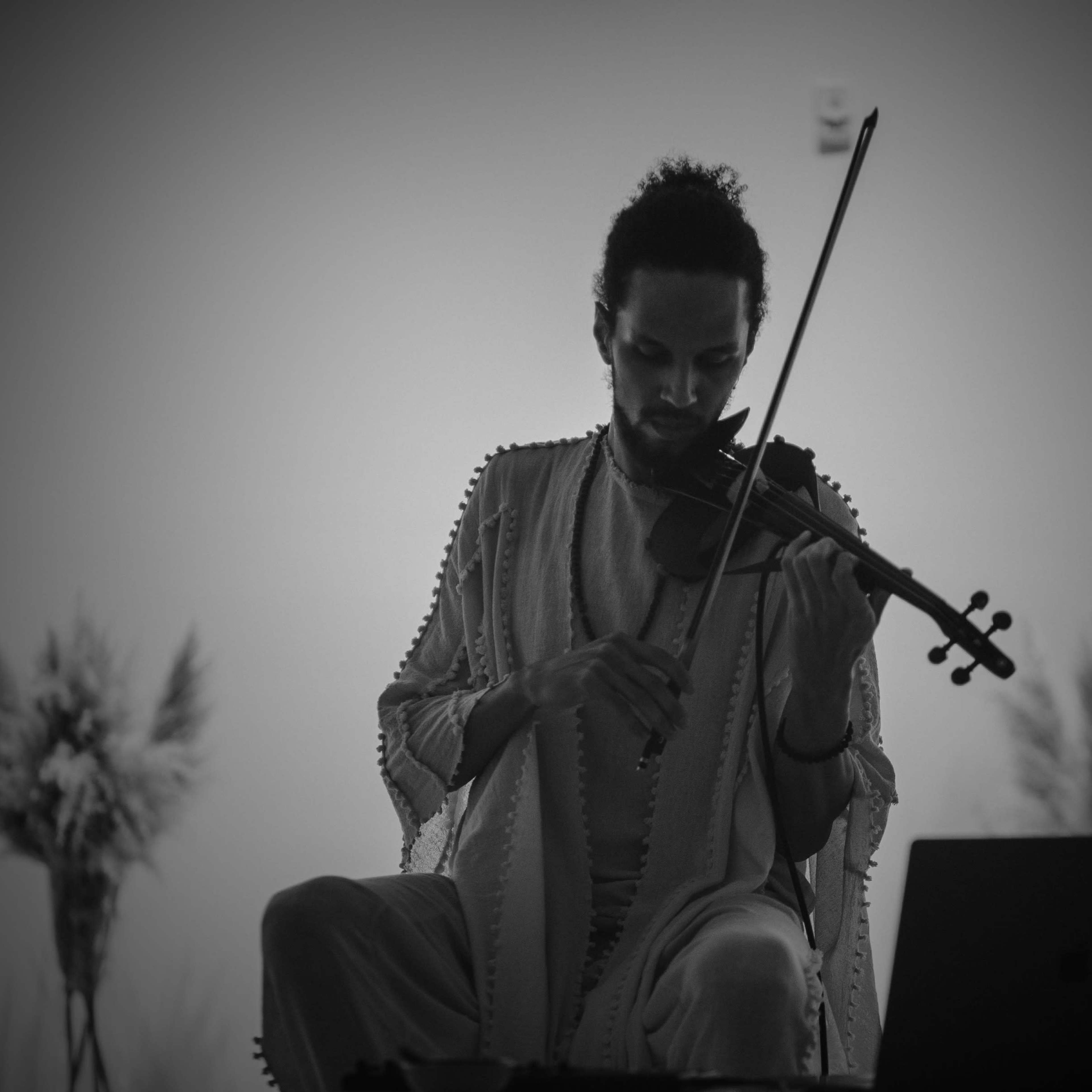 A musician plays the violin while seated in front of a laptop, surrounded by potted plants.