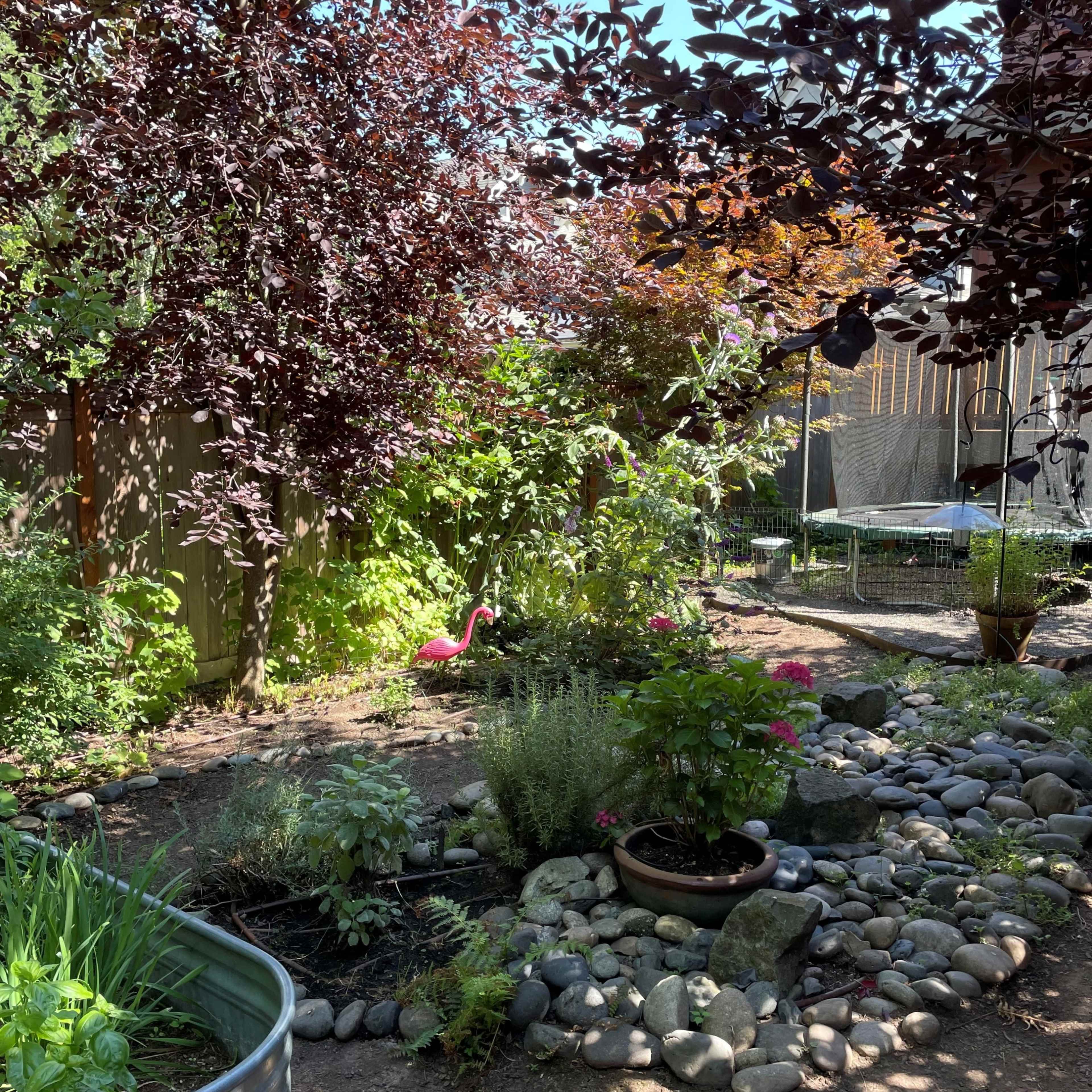 A garden features a variety of plants, rocks, and a pink flamingo statue surrounded by trees and a wooden fence.