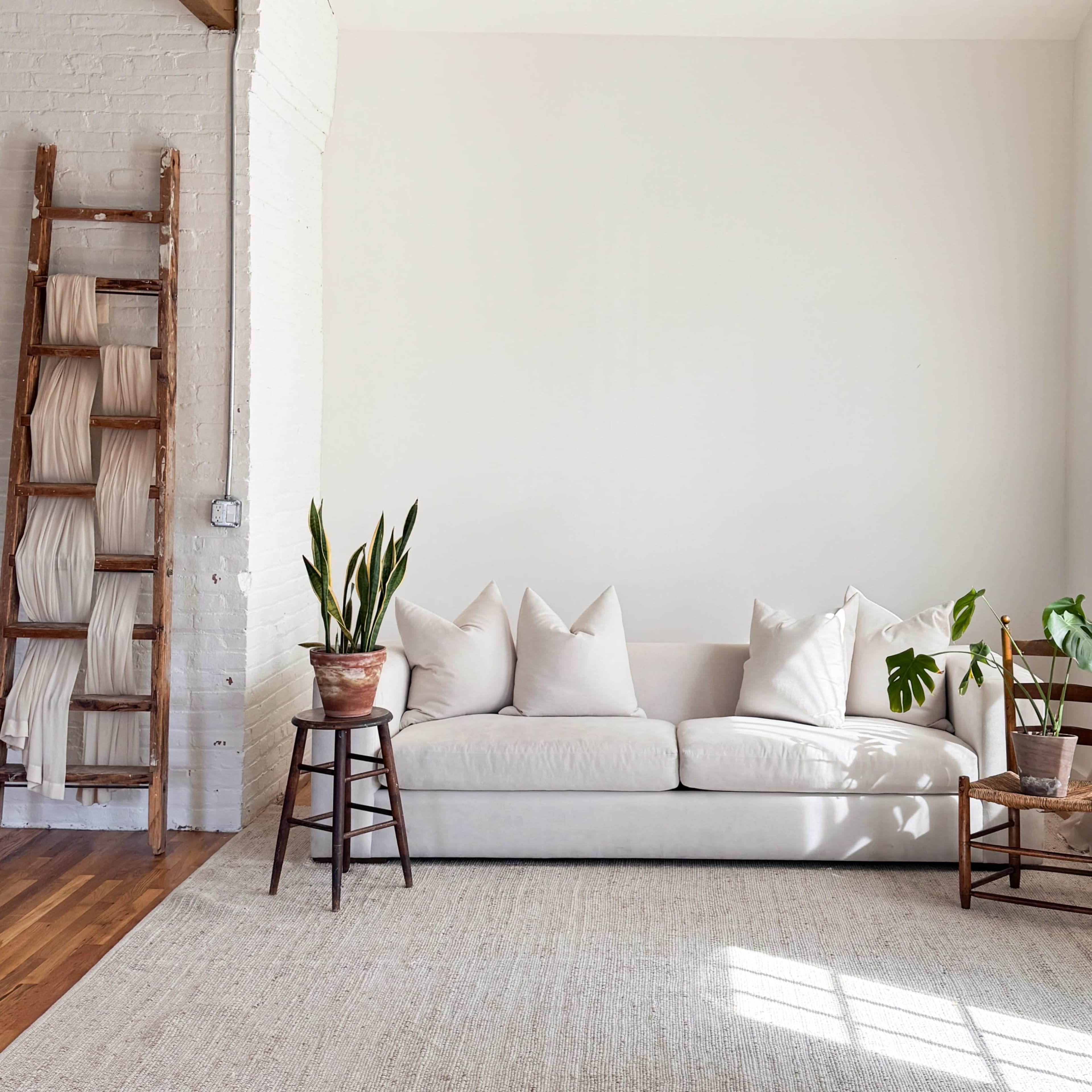 Concept Louis Image in North Ironbound, Newark, NJ