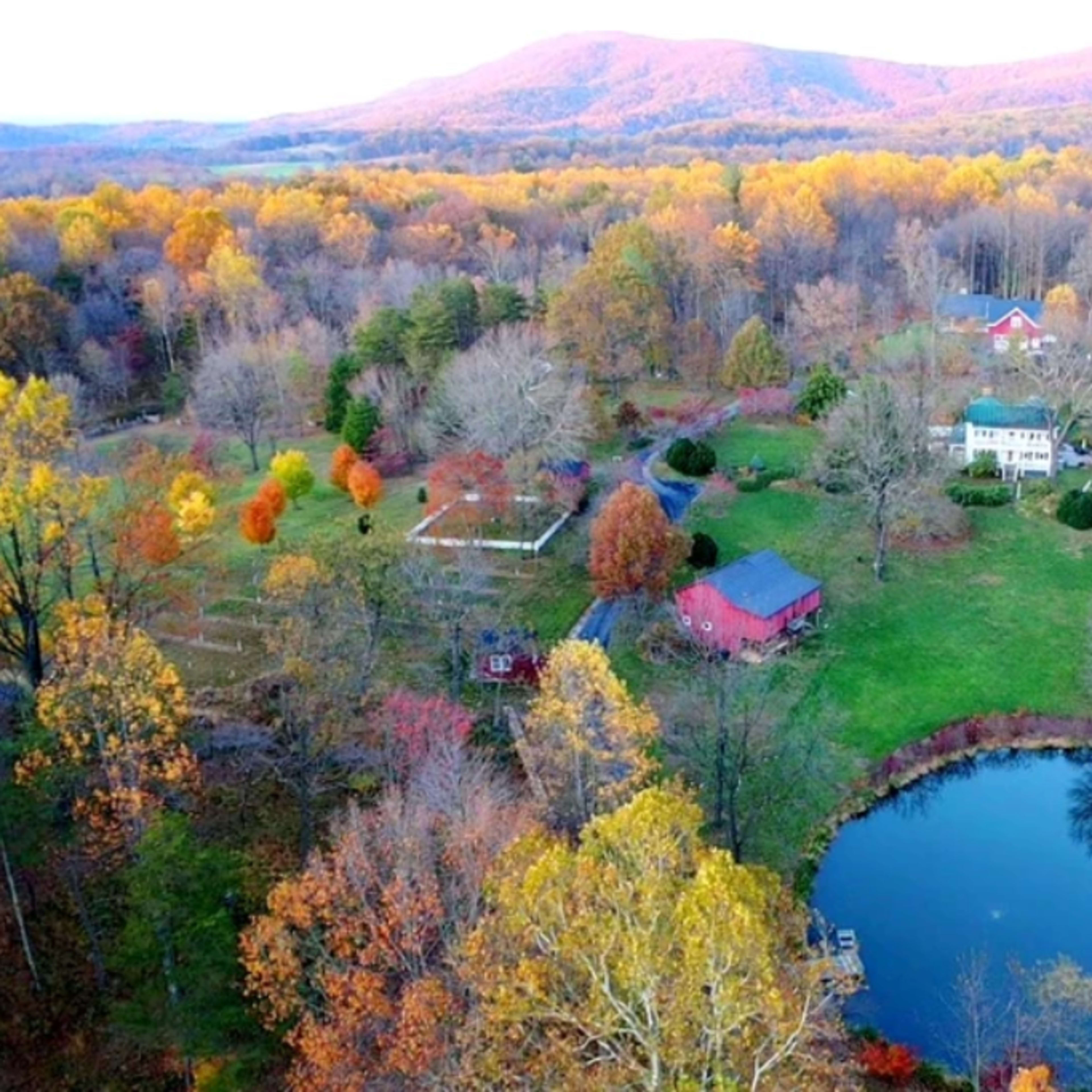 An aerial view of a rural landscape with a pond, several houses, and trees displaying autumn foliage.