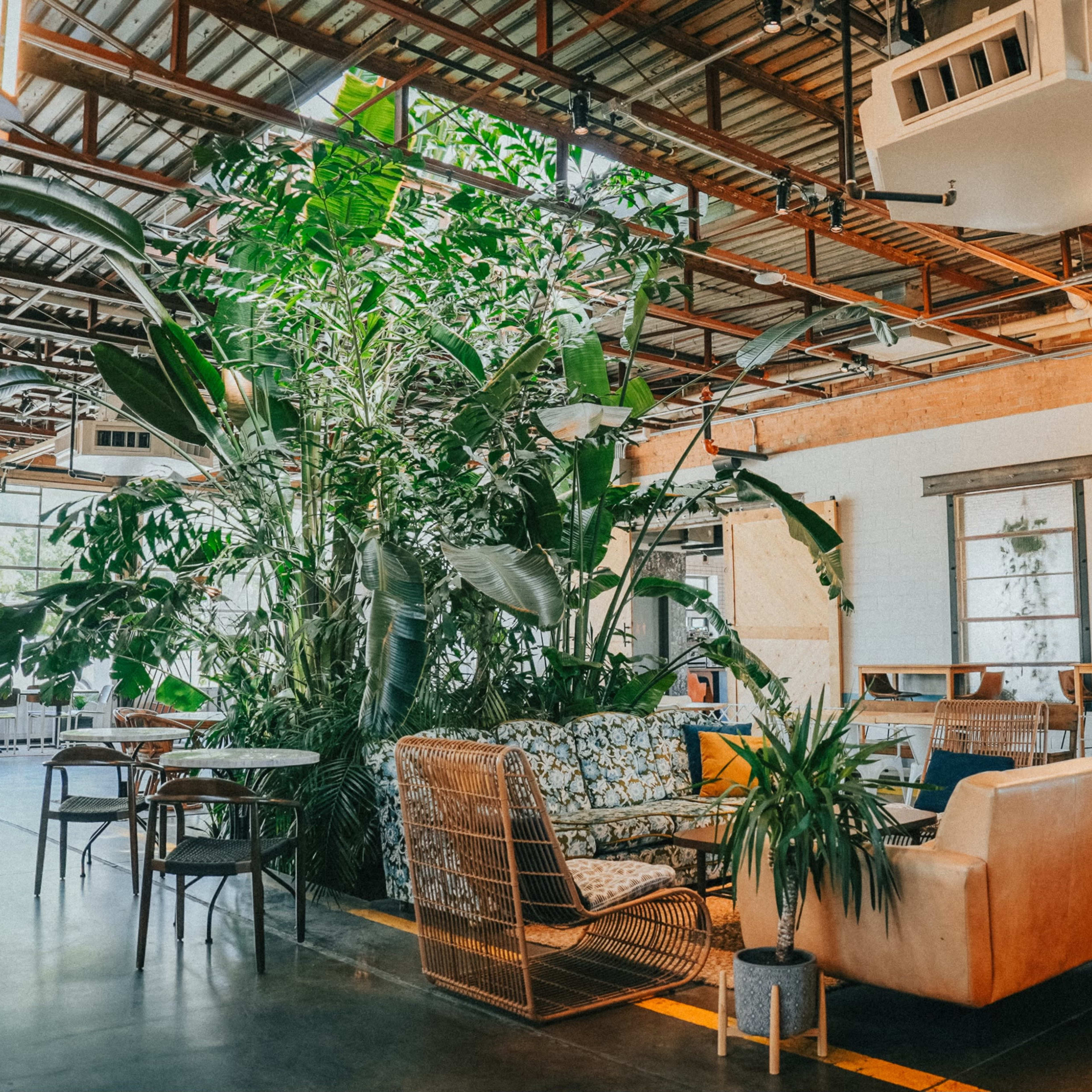 A modern indoor space features a large central plant arrangement surrounded by seating areas and large windows.
