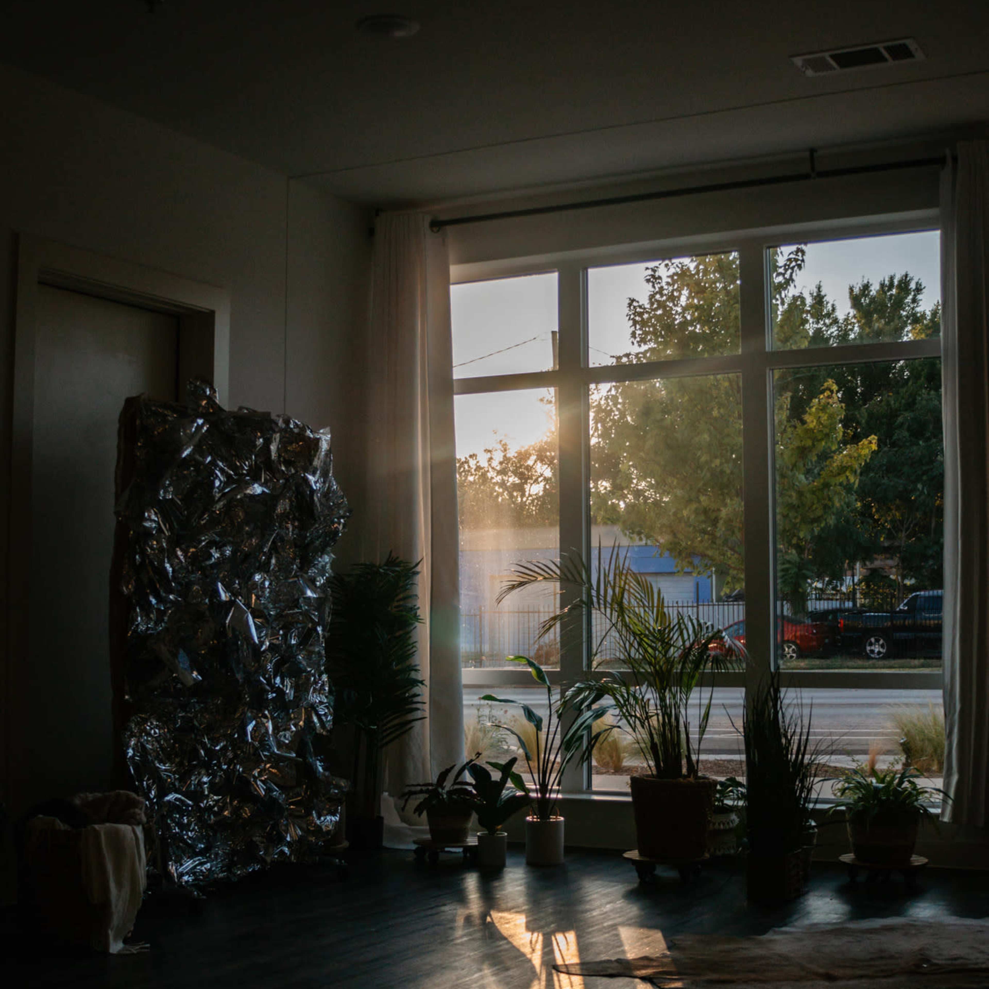 A bright sunbeam filters through a large window, illuminating a room with various potted plants and a silver-covered object in the corner.