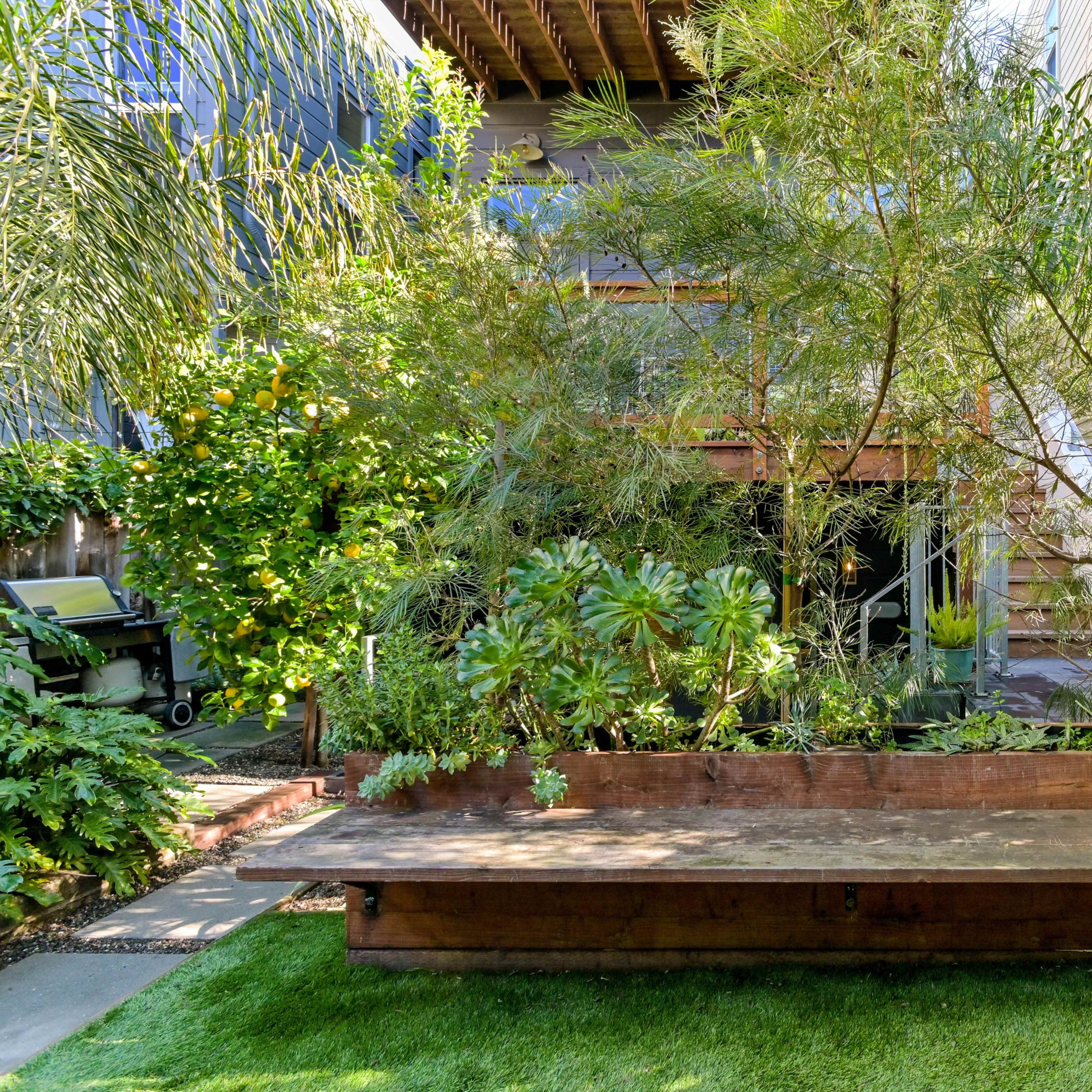 A wooden bench is situated in a lush garden surrounded by various plants and trees.