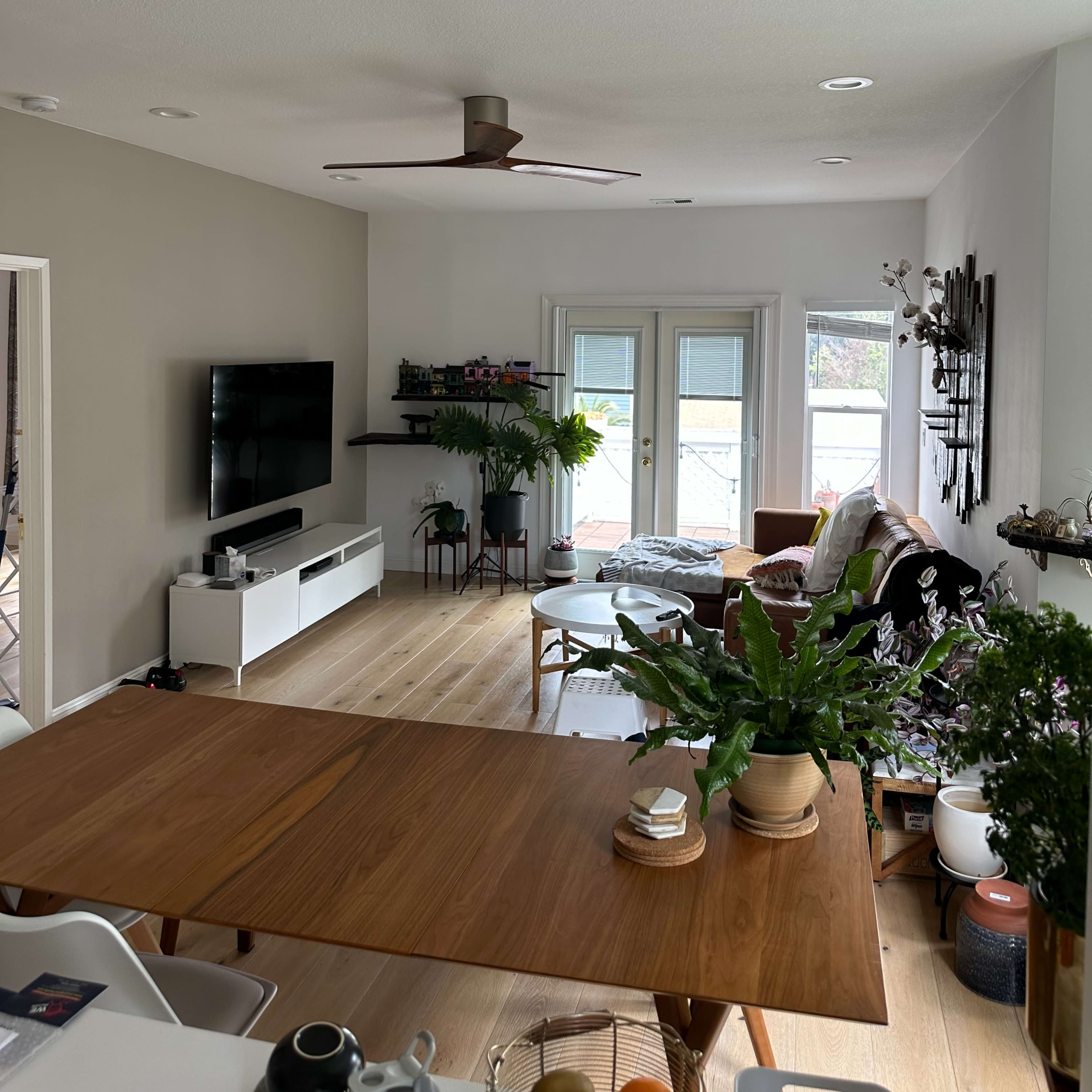 A modern living room with a television mounted on a wall, a large window providing natural light, and a mix of indoor plants and furniture arranged around a wooden dining table.