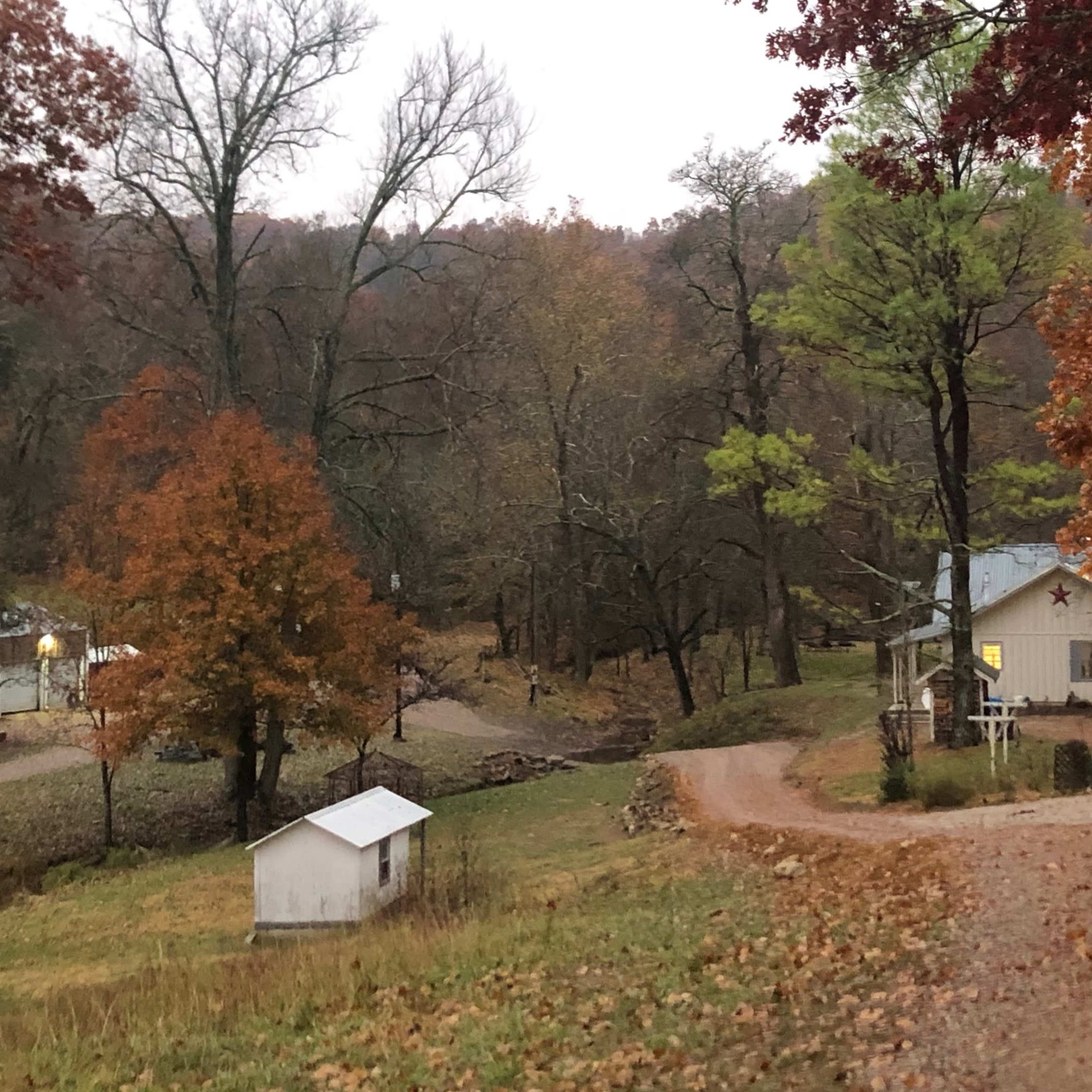 A gravel driveway leads to a white house surrounded by trees with autumn leaves, set in a rural area.