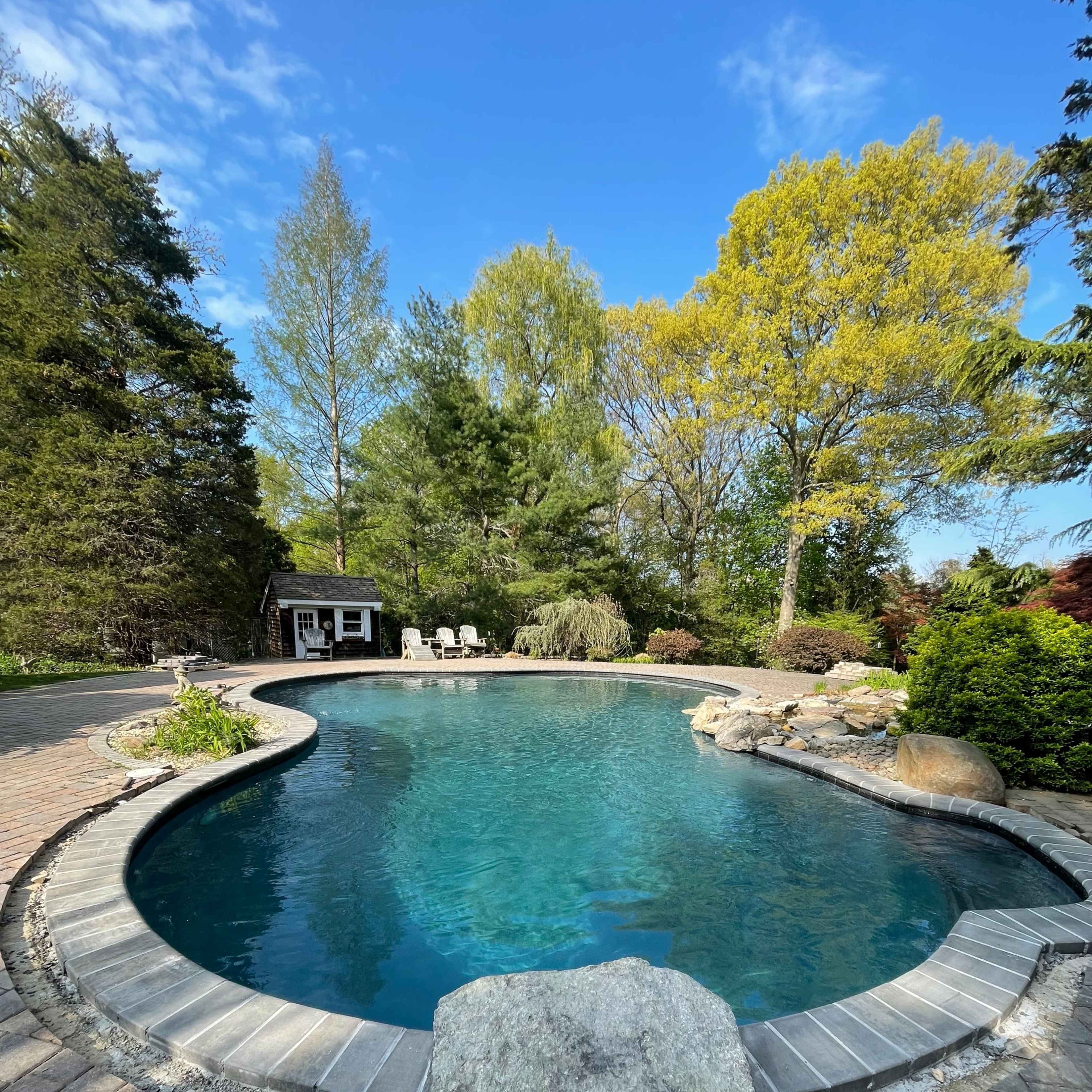 A curved swimming pool surrounded by stone paving and lush greenery, with a small shed and seating area in the background.