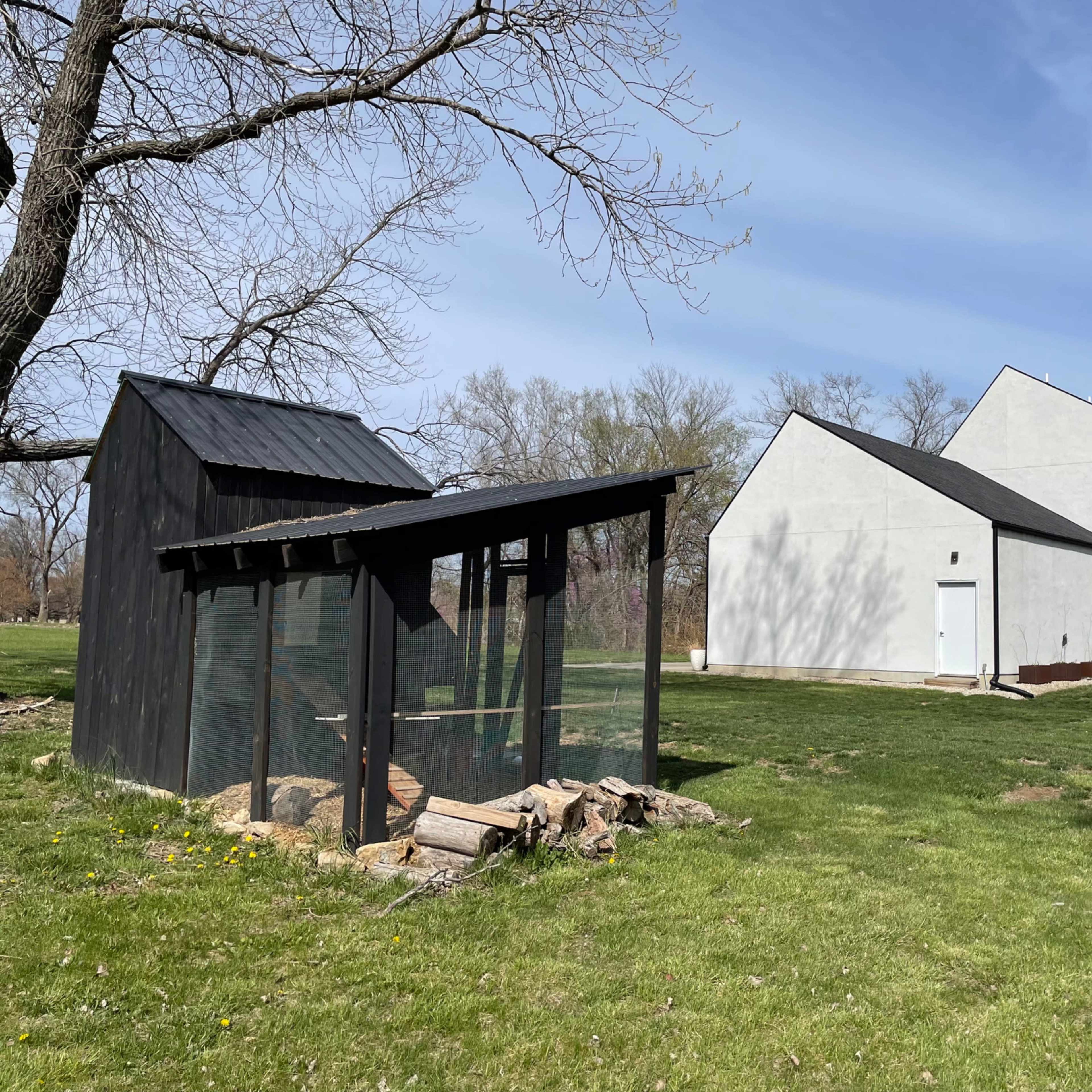A black chicken coop and a modern white house set on a grassy yard.