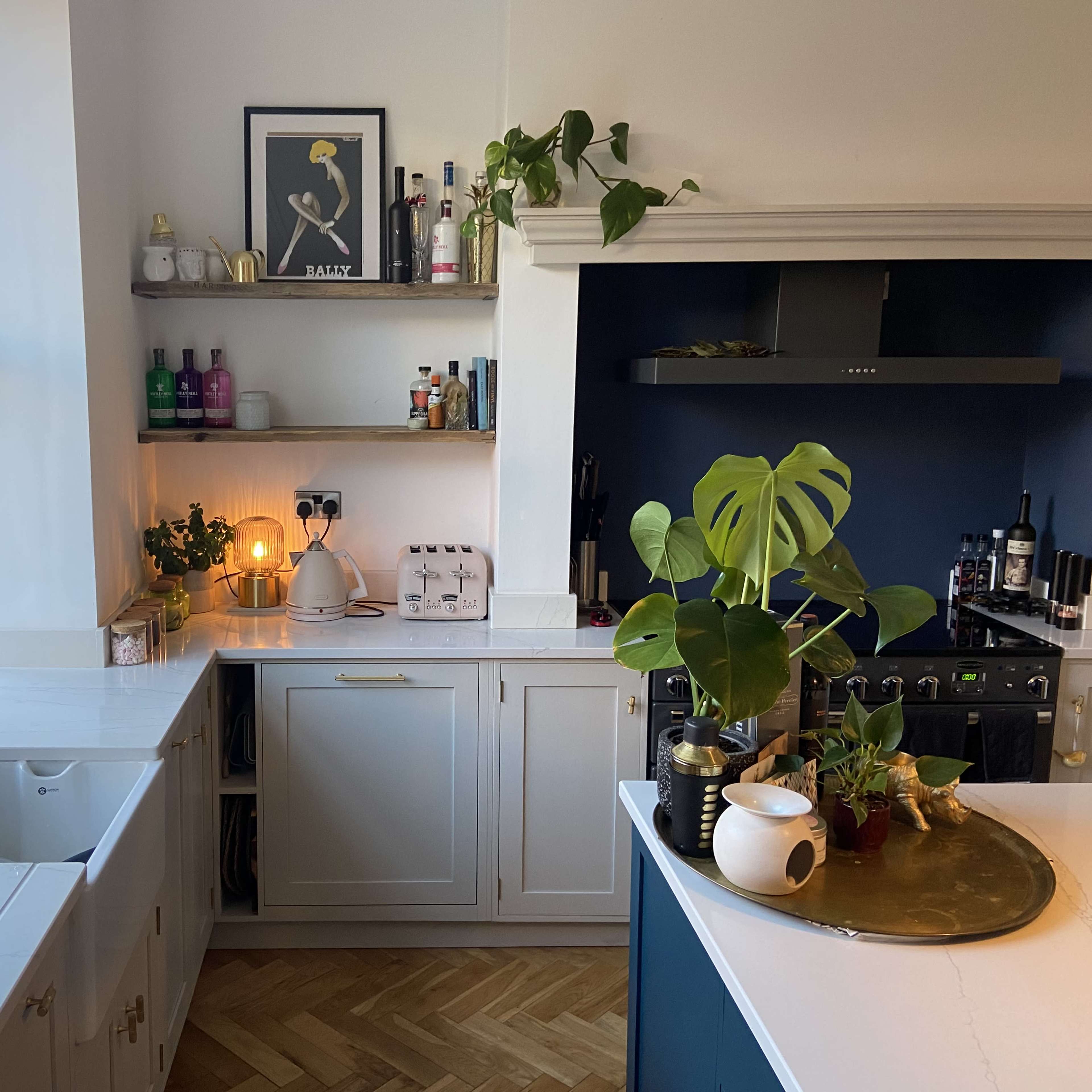 A modern kitchen features a combination of minimalist cabinetry, a double sink, and various houseplants on shelves and countertops in a well-lit space.