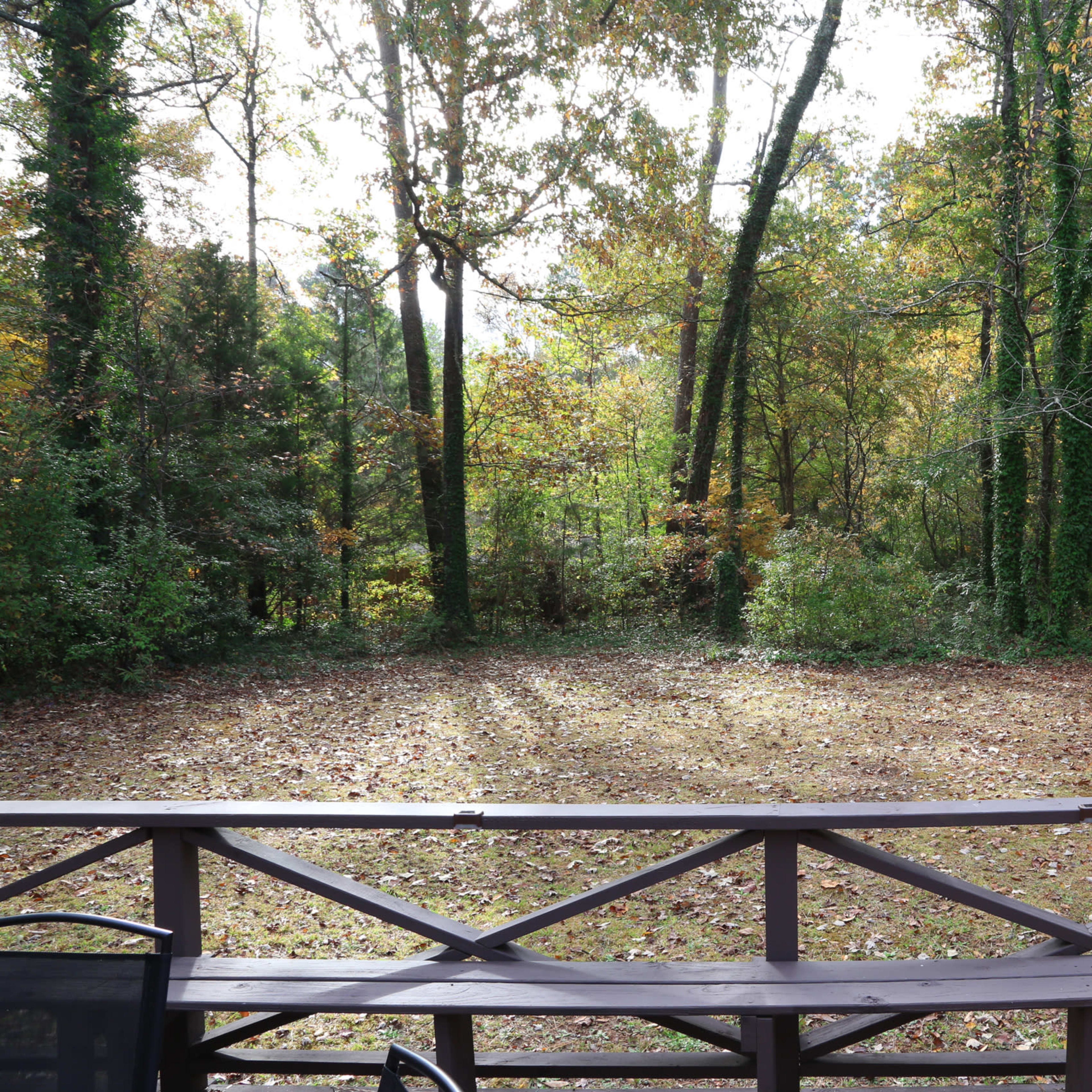 A cleared area surrounded by trees, with a deck railing in the foreground and fallen leaves covering the ground.