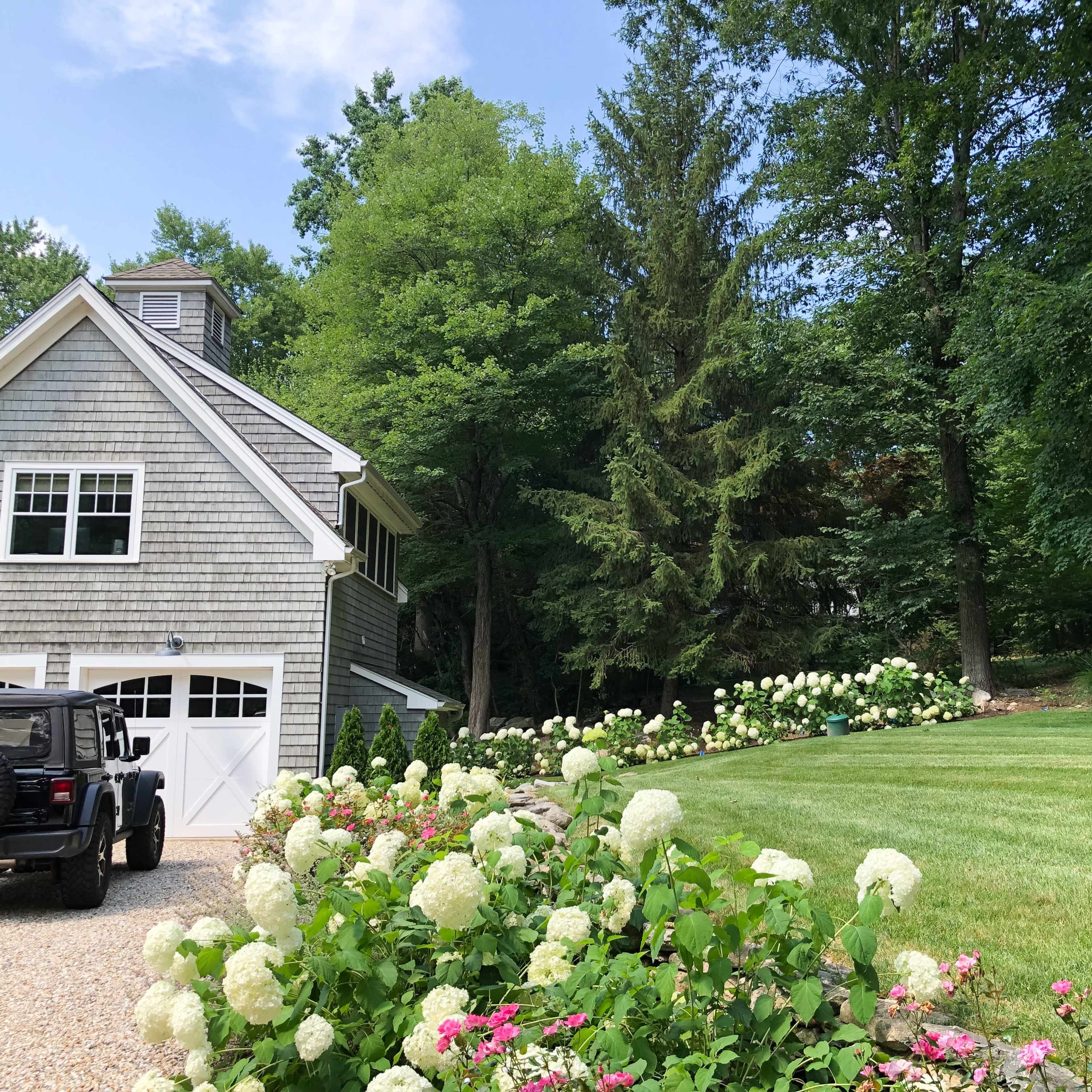 A grey shingle-sided house is accompanied by a black SUV in the driveway, surrounded by blooming hydrangeas and lush green trees.