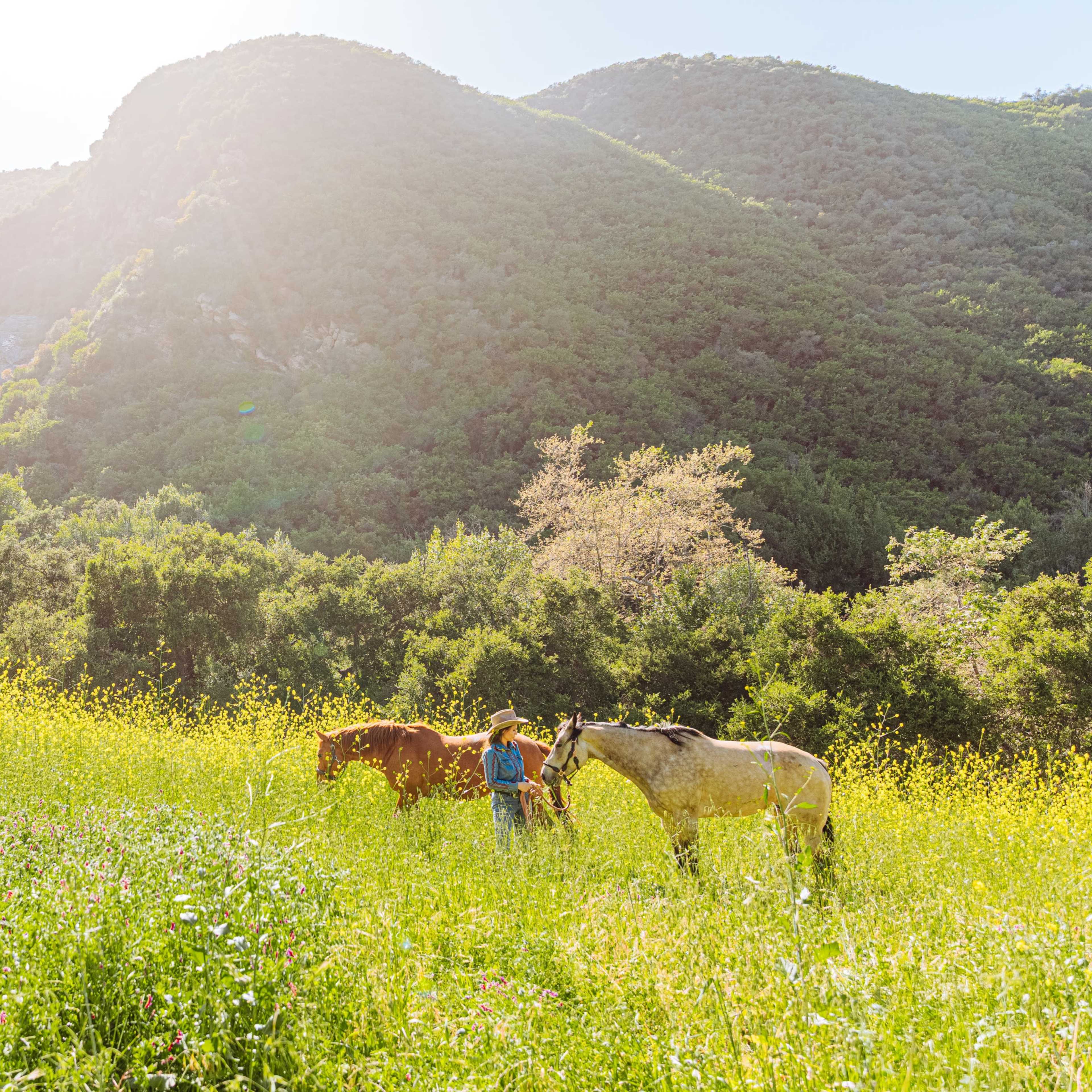 Butterfly Mountain: 70-Acre Topanga Sanctuary with Waterfall, Dome & Scenic Views Image in Topanga, Topanga, CA