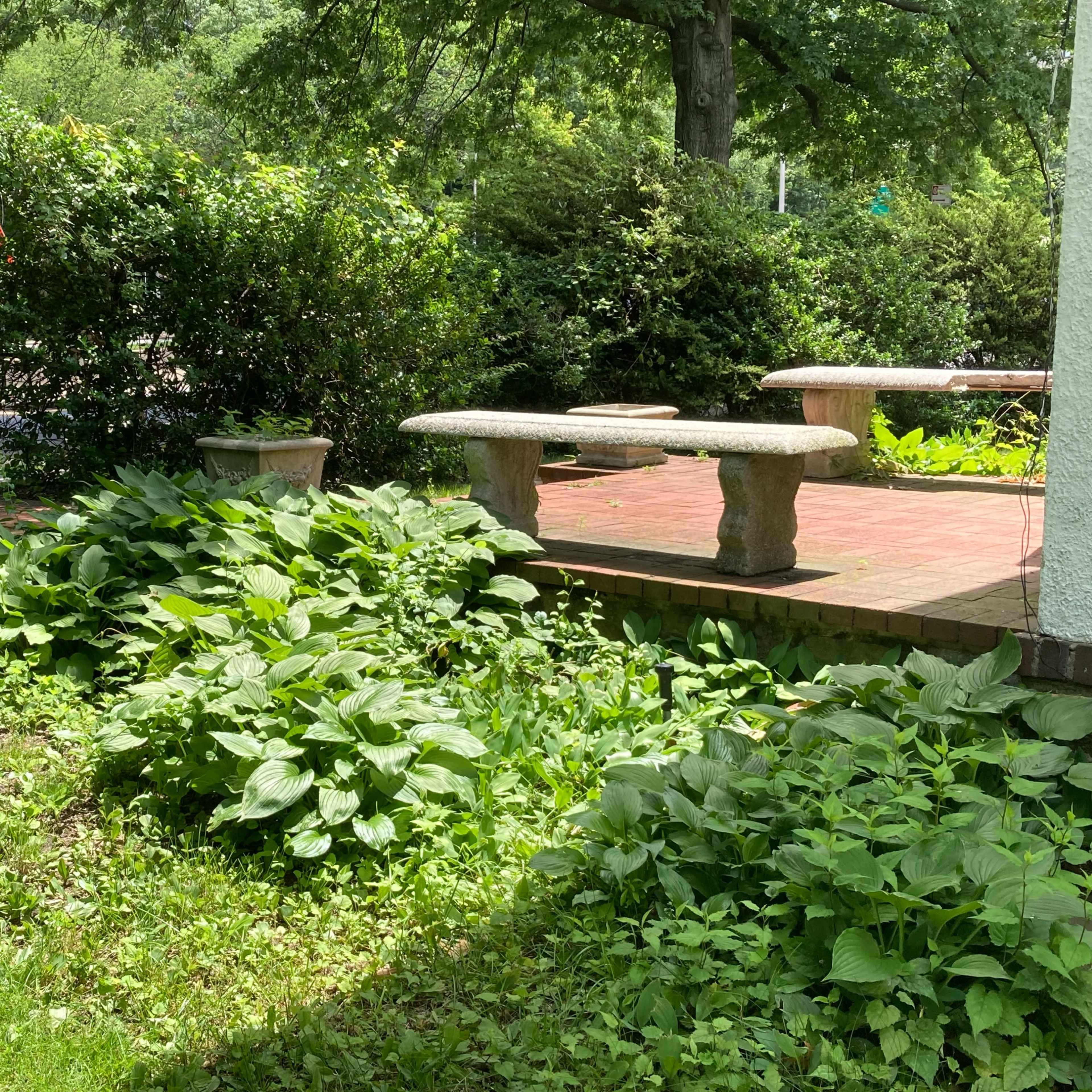 A garden area with lush green vegetation surrounding a stone bench on a patio.