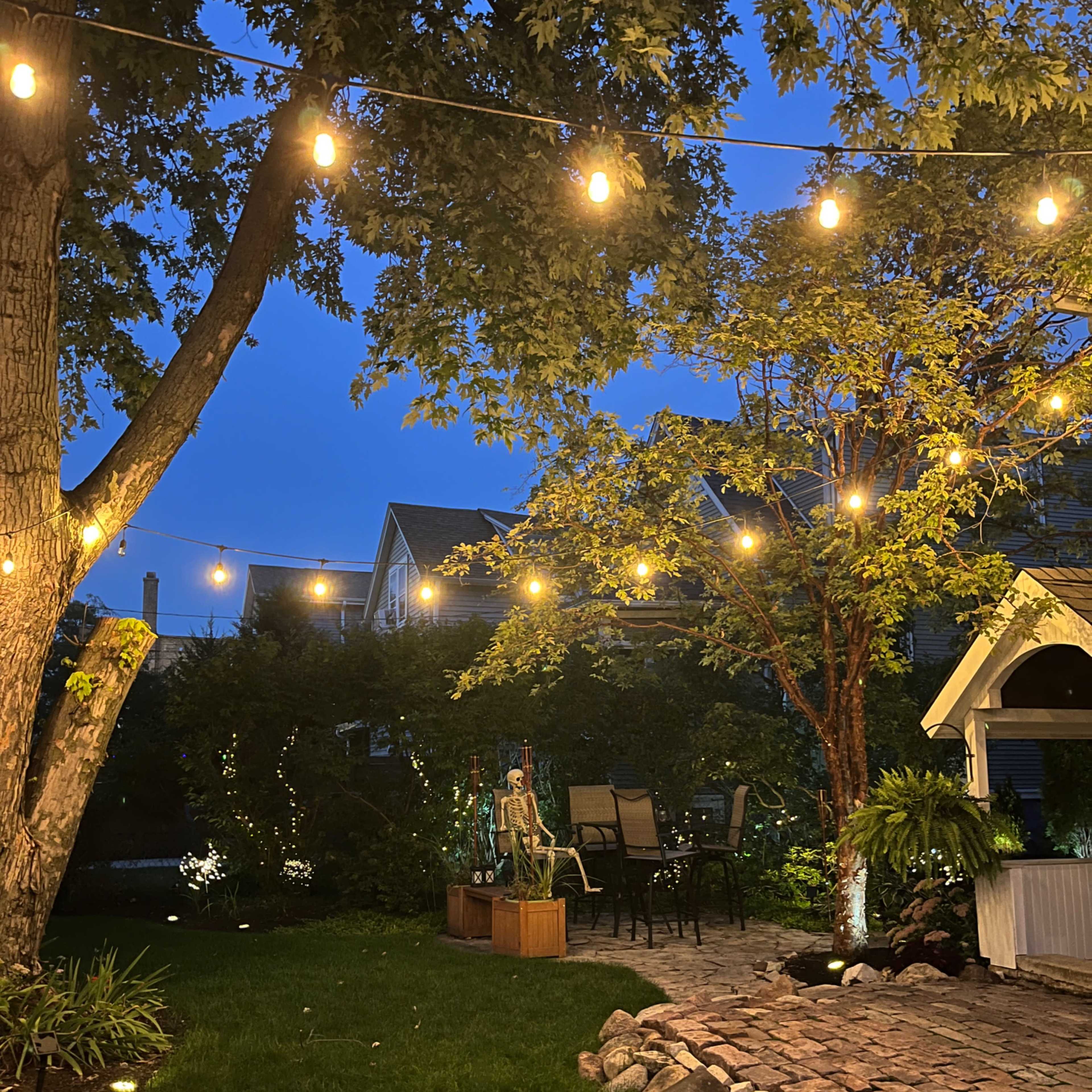 Unique Event Home with dreamy yard Image in Berwyn Township, Berwyn, IL