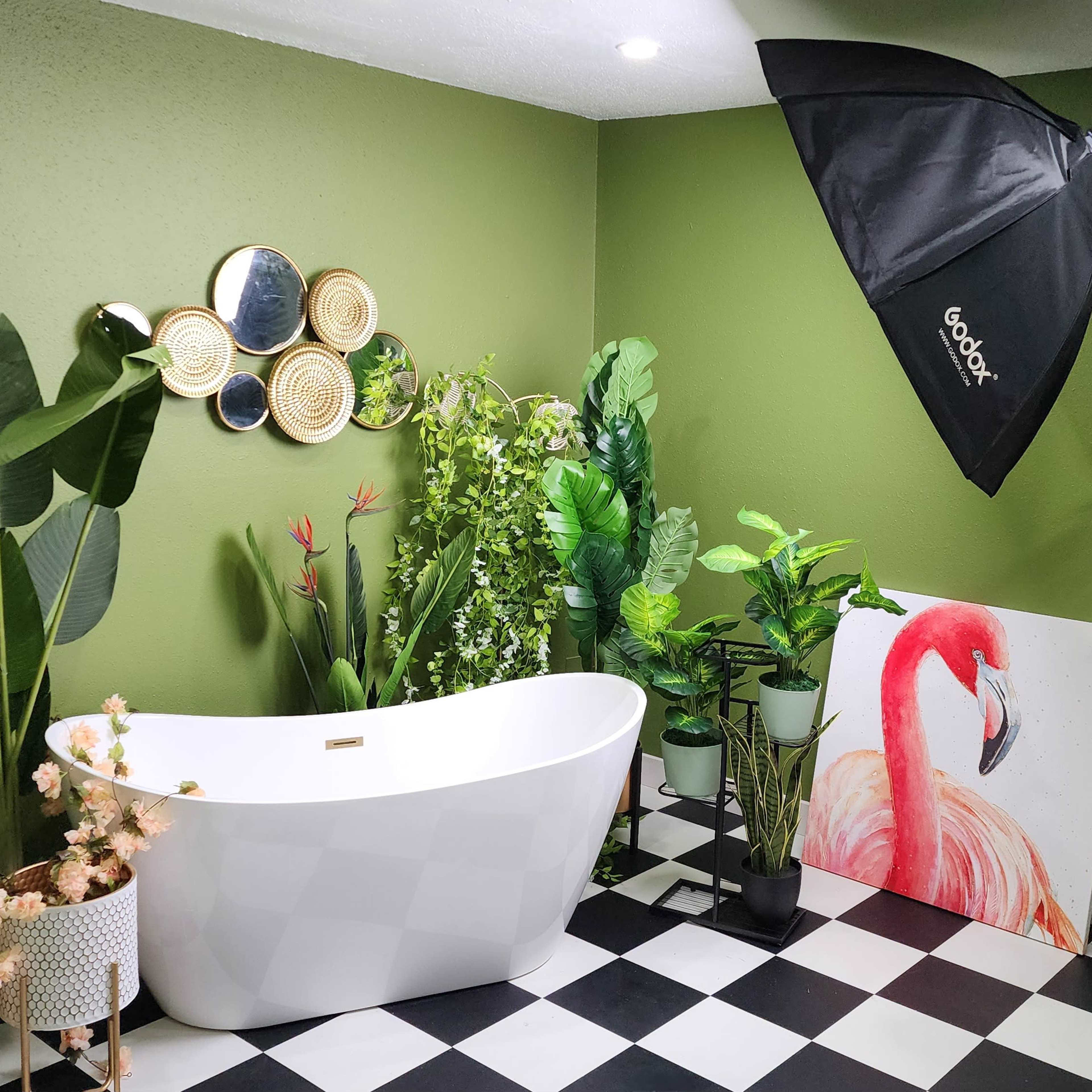 Photo / Video Studio near IAH Airport Image in Iah / Airport Area, Humble, TX
